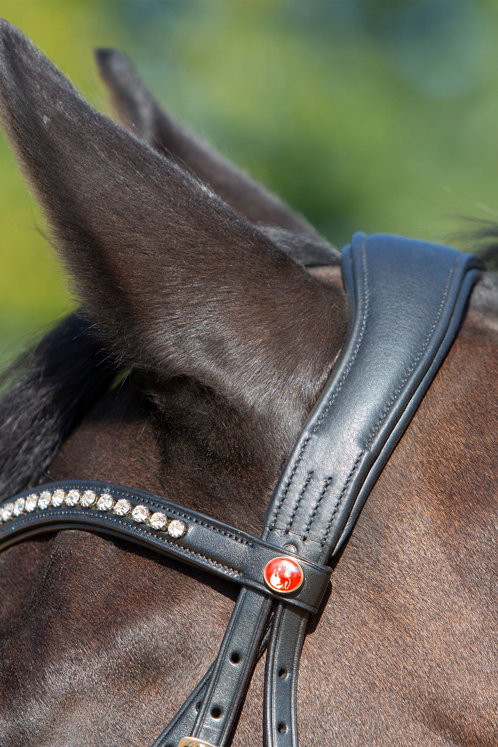 Kieffer Ultrasoft® Sue Bridle Bridles & Reins