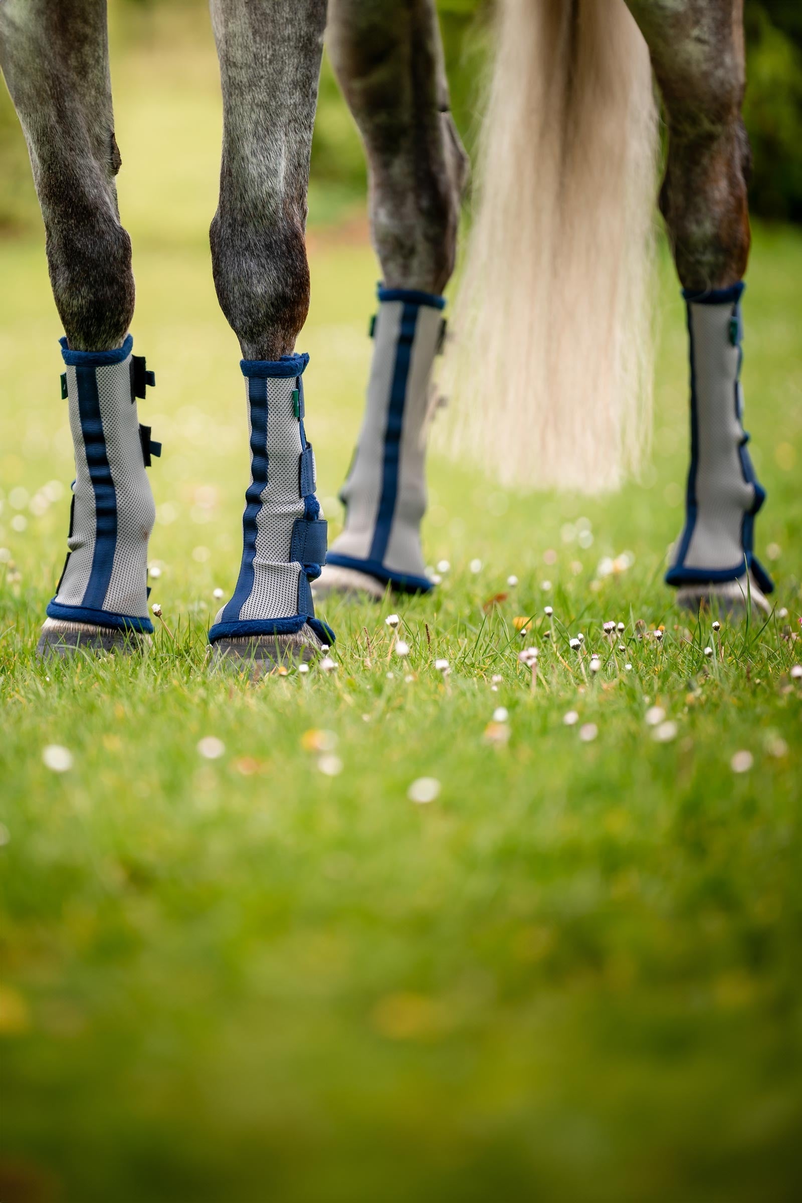 Horseware Fly Boots Leg Protection & Hoof Protection for Horses
