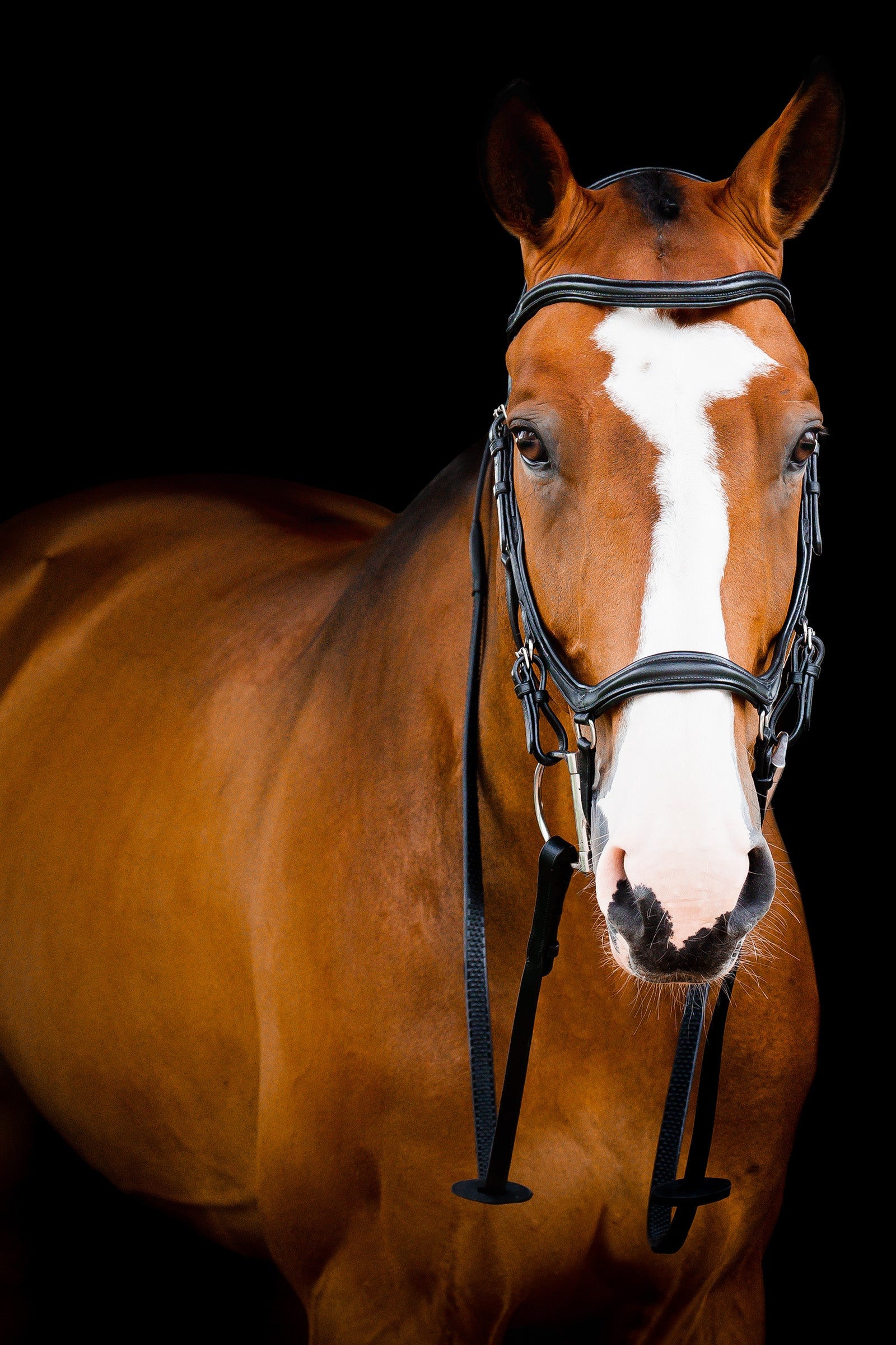 Horseware Micklem 2 Deluxe Competition Suitset Suitset & Ohjat