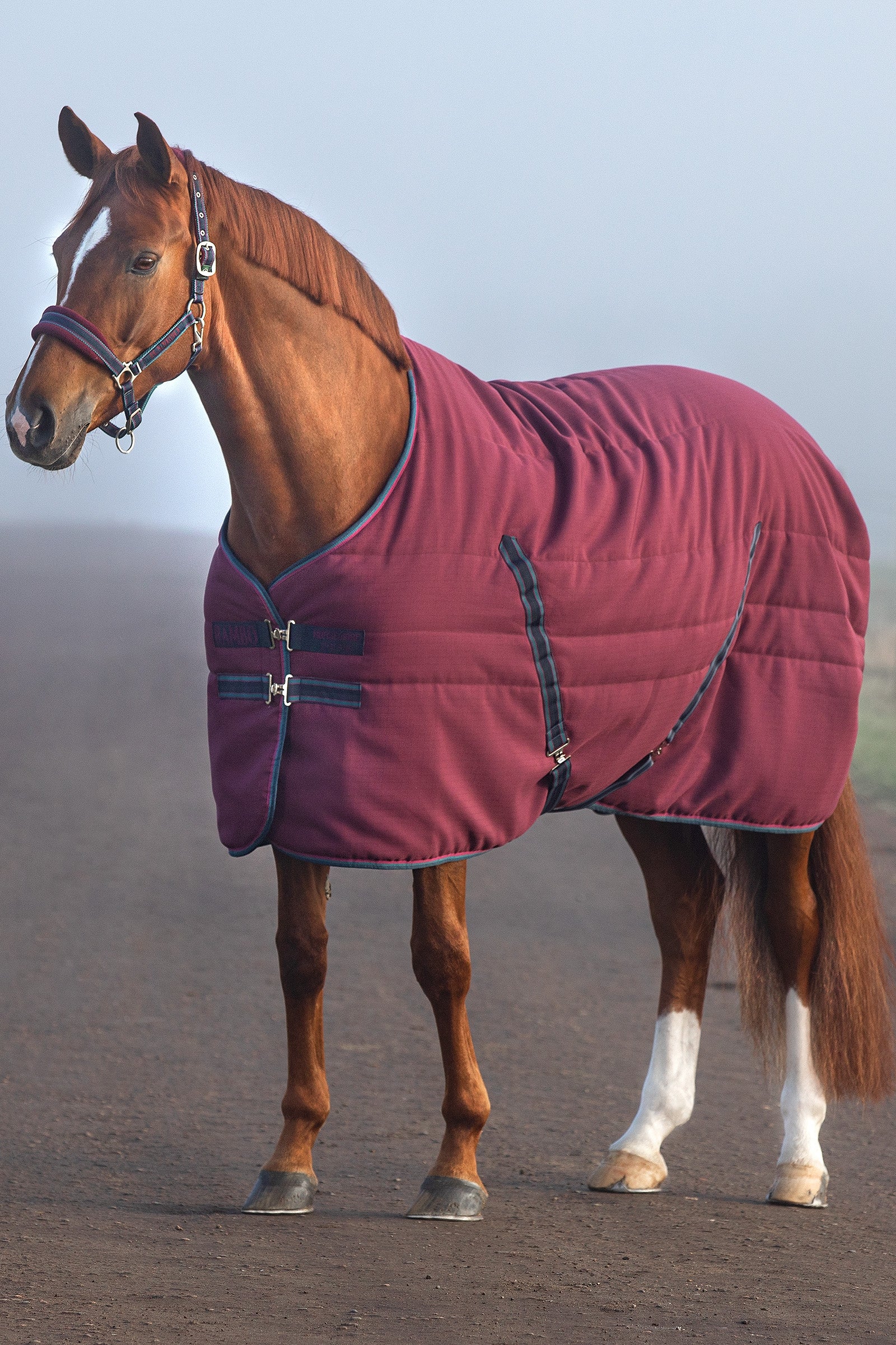 Horseware Rambo Stable Rug Embossed Lining, 100g Horse Rugs