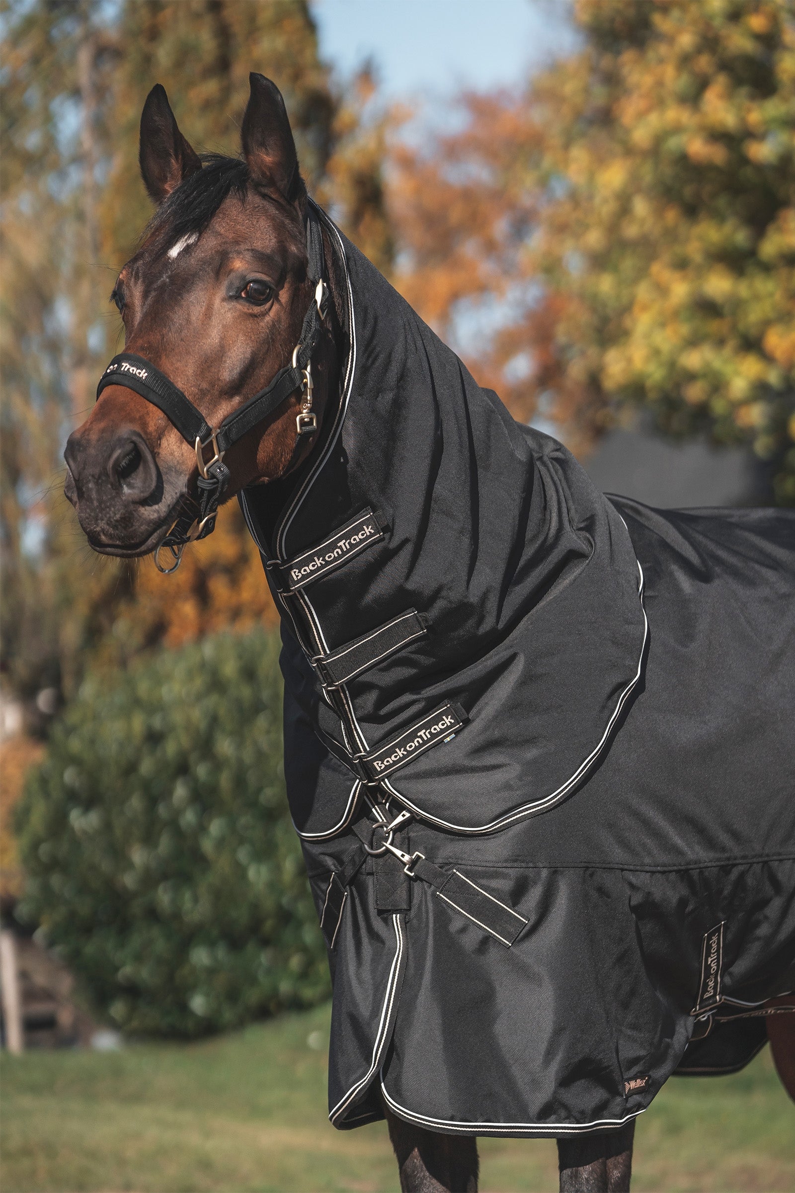 Back on Track Obsidian Turnout Rug, 0g Horse Rugs