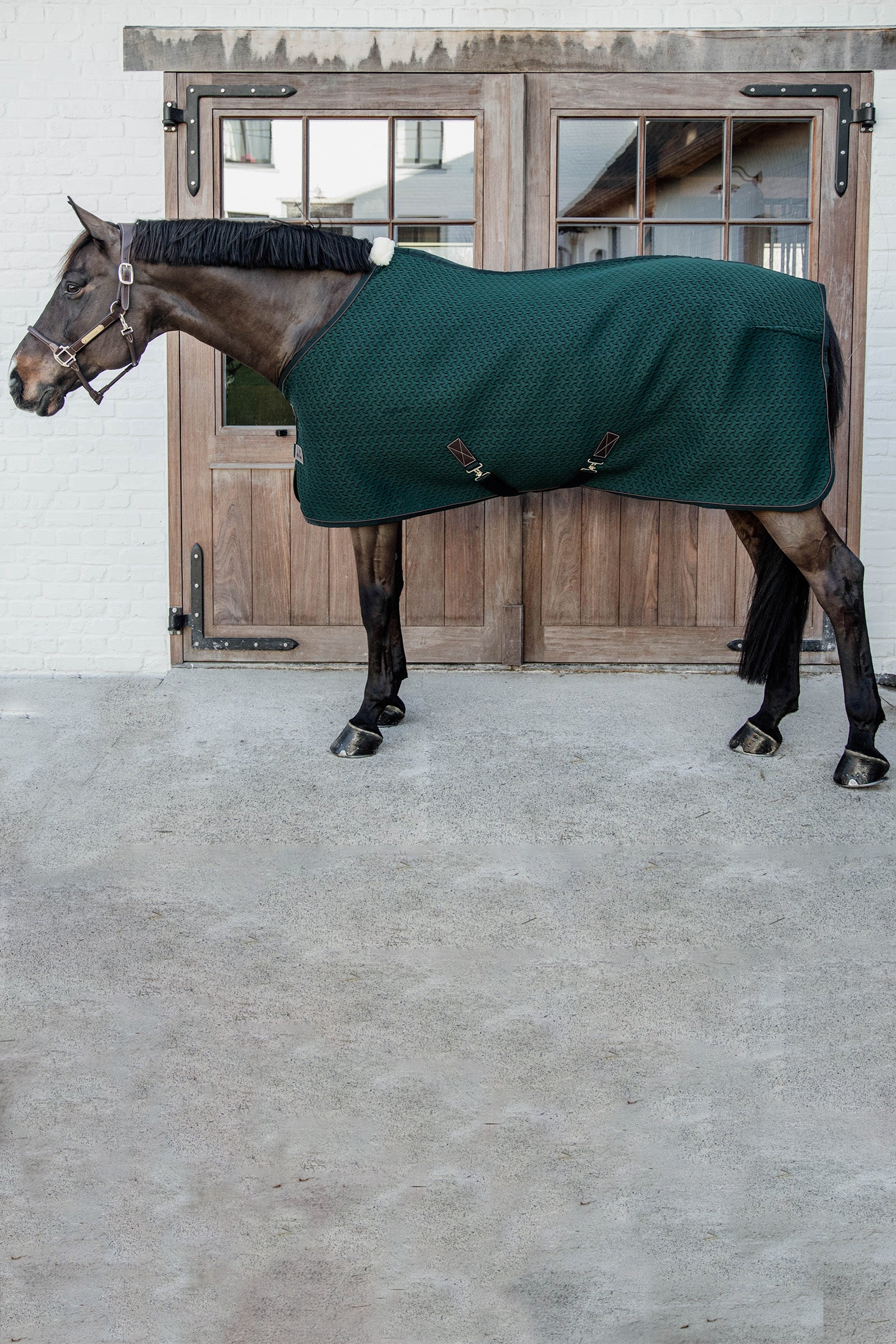 Kentucky Horsewear 4D Spacer Cooler Horse Rugs