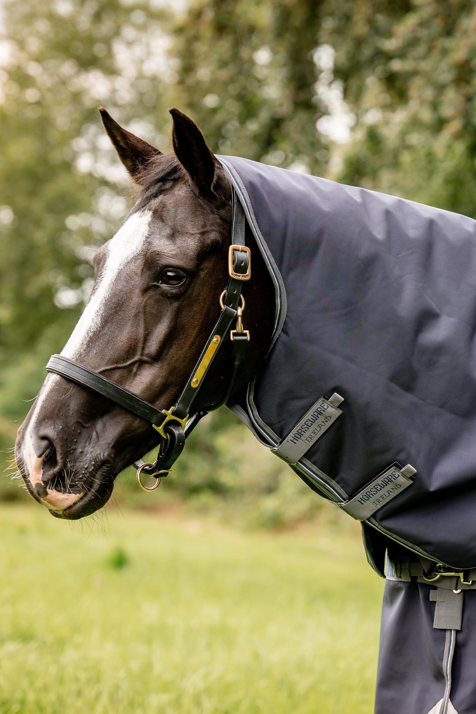 Horseware Rambo Optimo Turnout Plus, 0g Horse Rugs