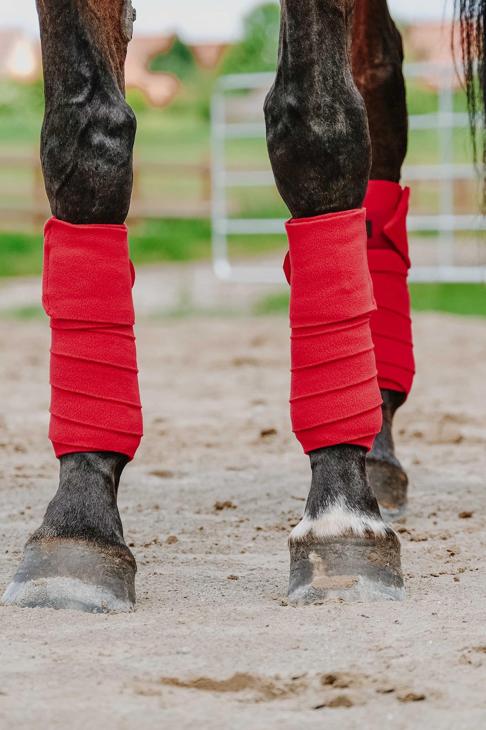EQUITHÈME Polo Bands (3,0 m) Leg & Hoof Protection