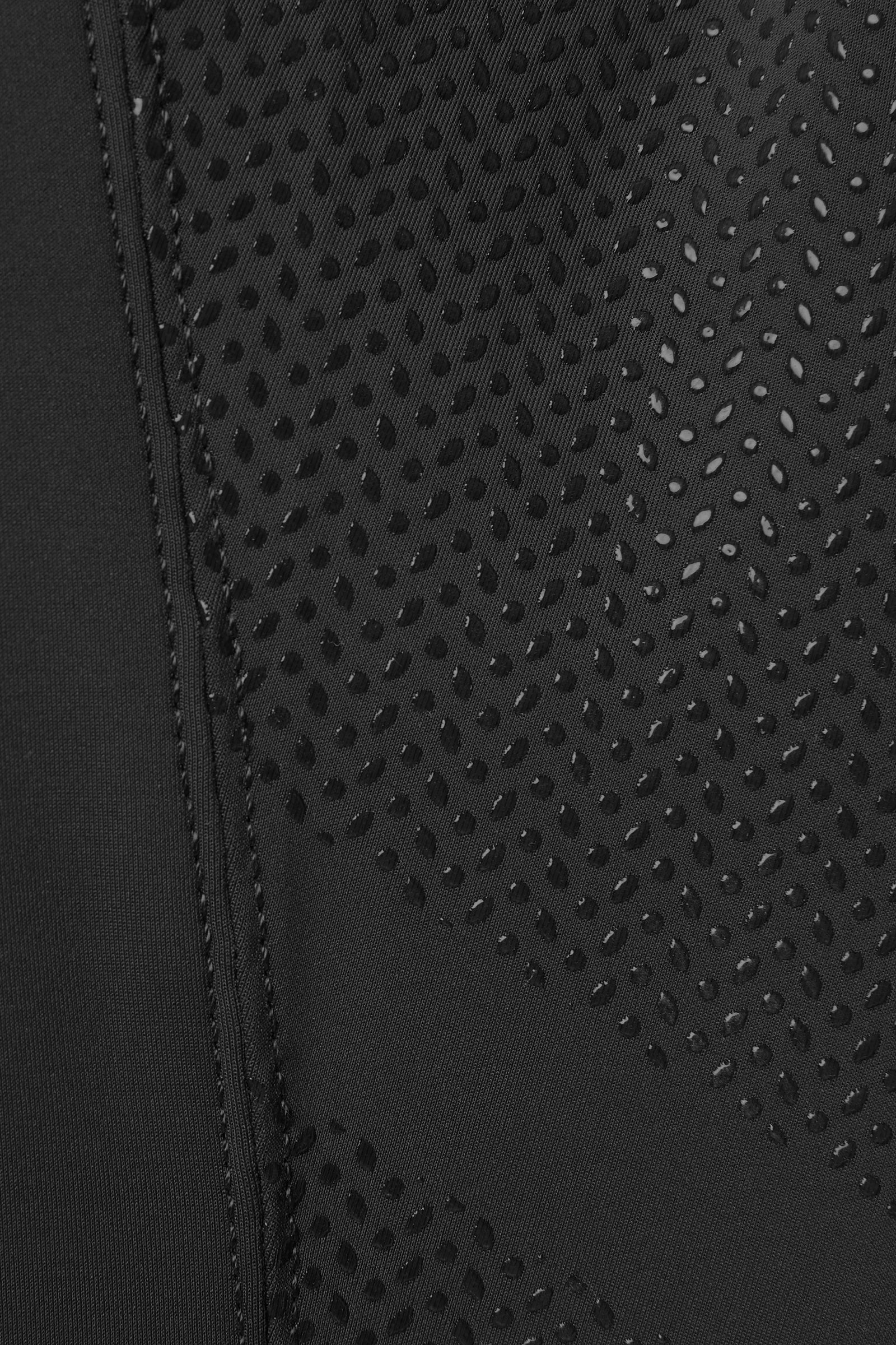 B Vertigo Women's Meghan High Waist Full Seat Breeches Womens Breeches