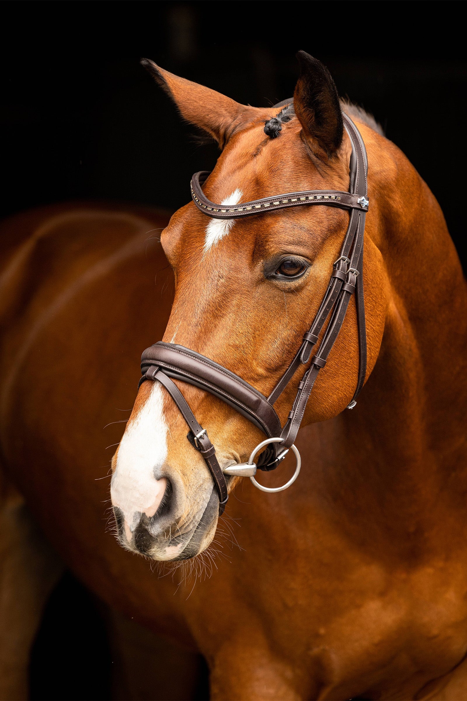 LeMieux Arika Dressage Bridle Bridles & Reins