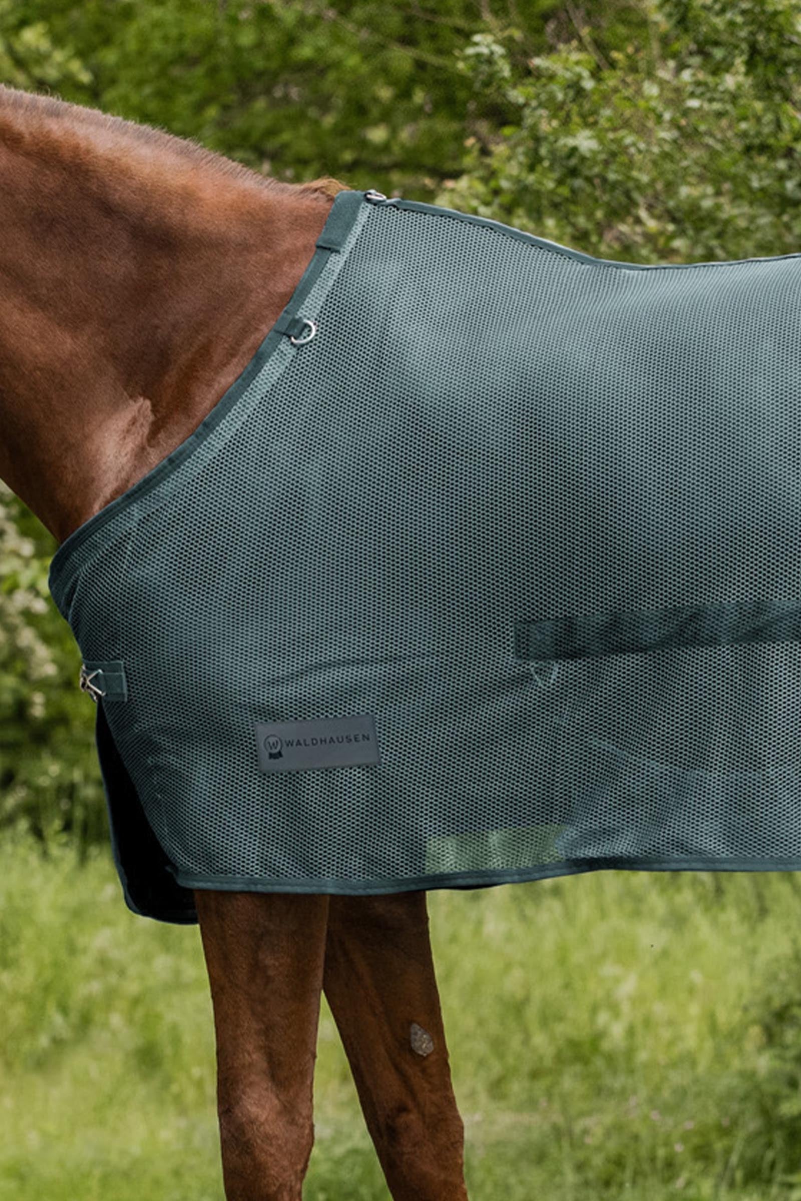 Waldhausen Comfort Fly Rug With Belly Flap Horse Rugs