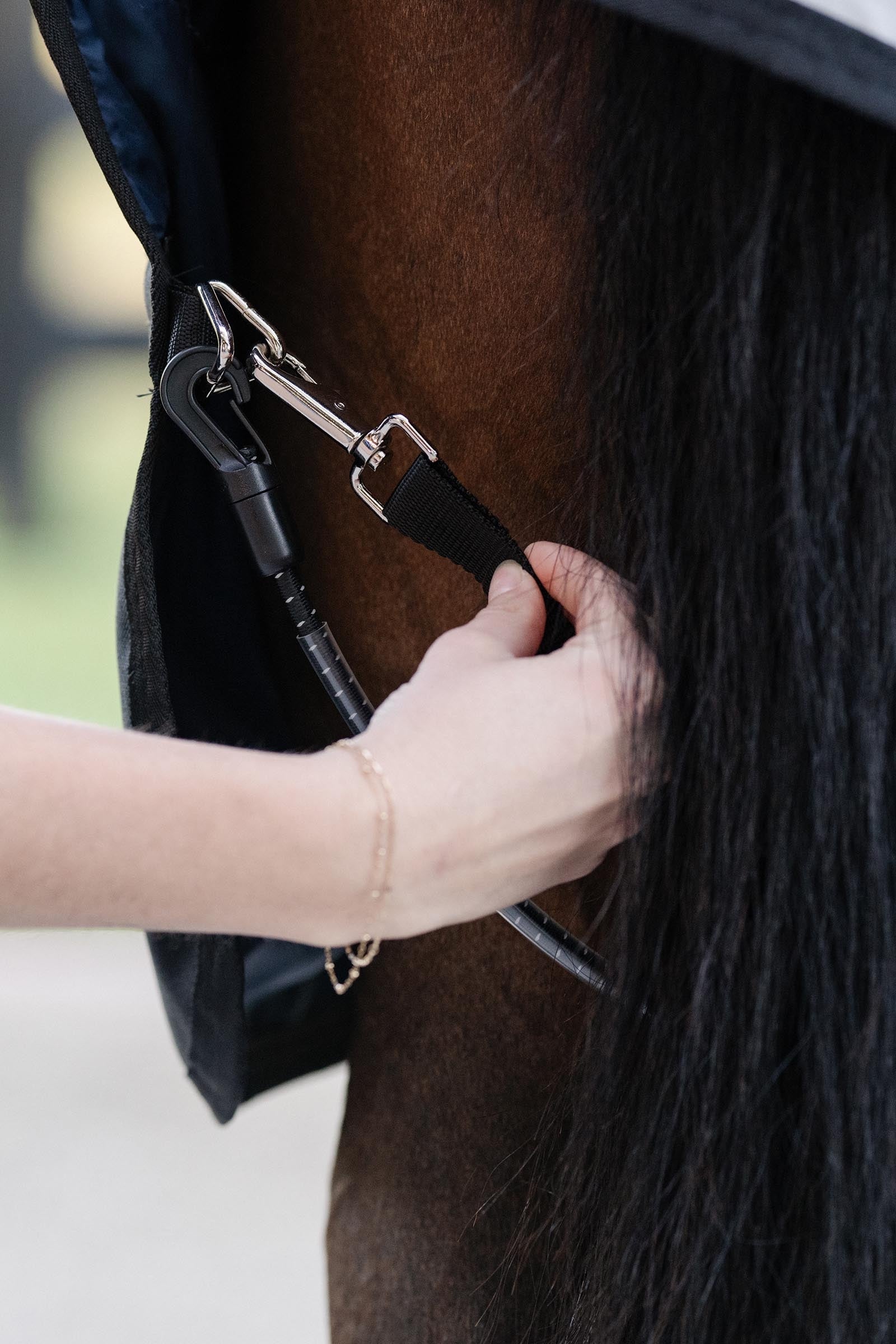 Horseware Elasticated Leg Straps Loimet