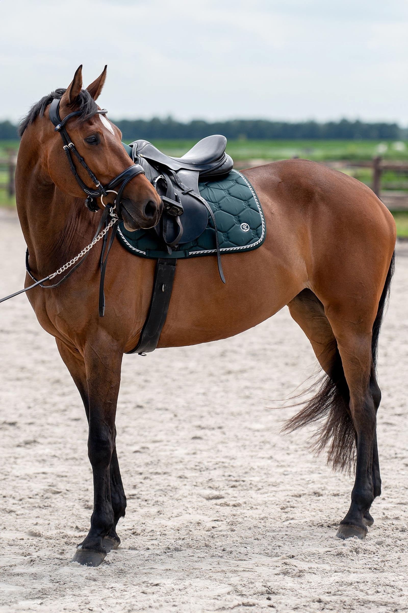 PS of Sweden Signature Jumping Saddle Pad Saddle Pads