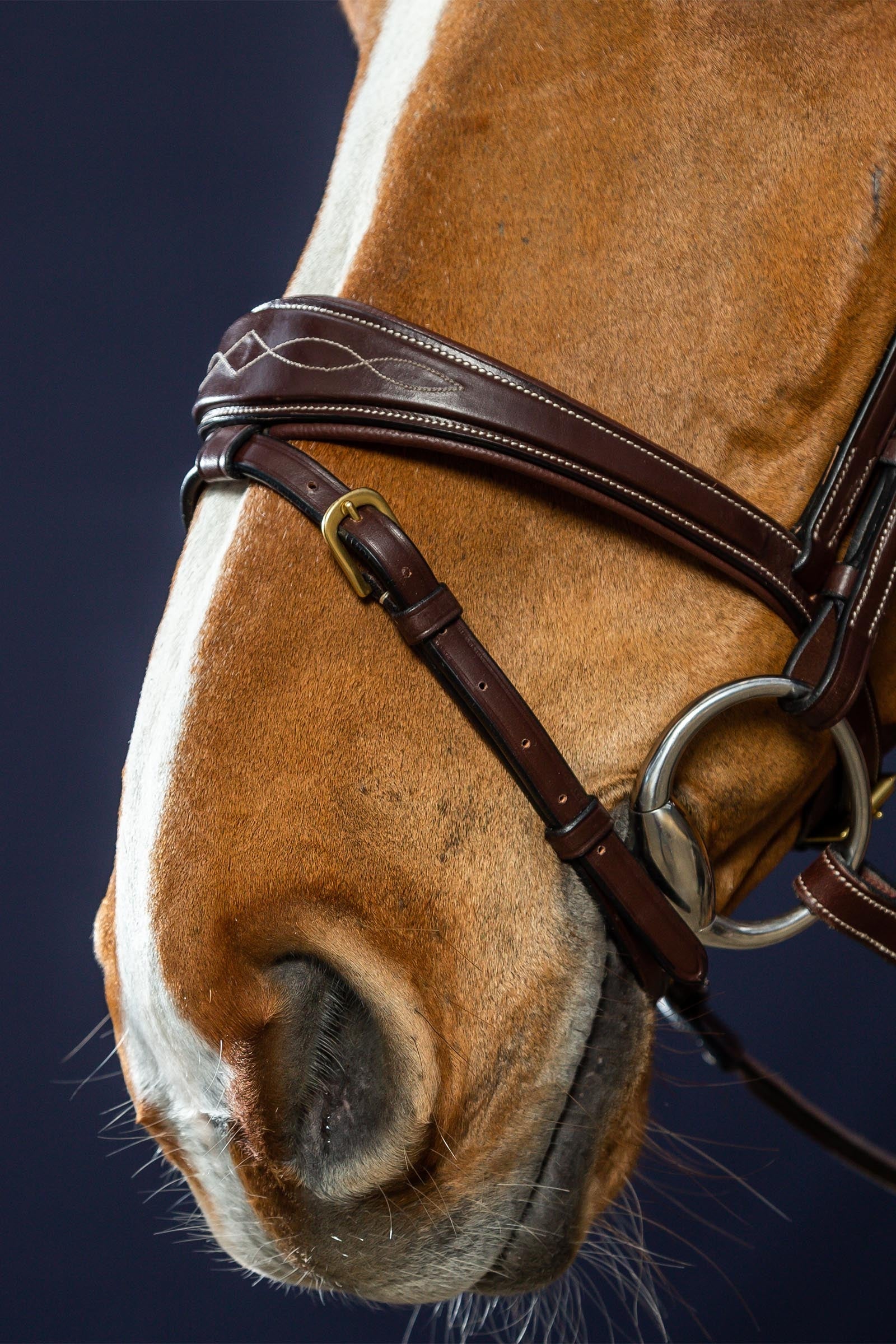 Dy'on D Collection Anatomical Bridle With Flash Noseband Bridles & Reins