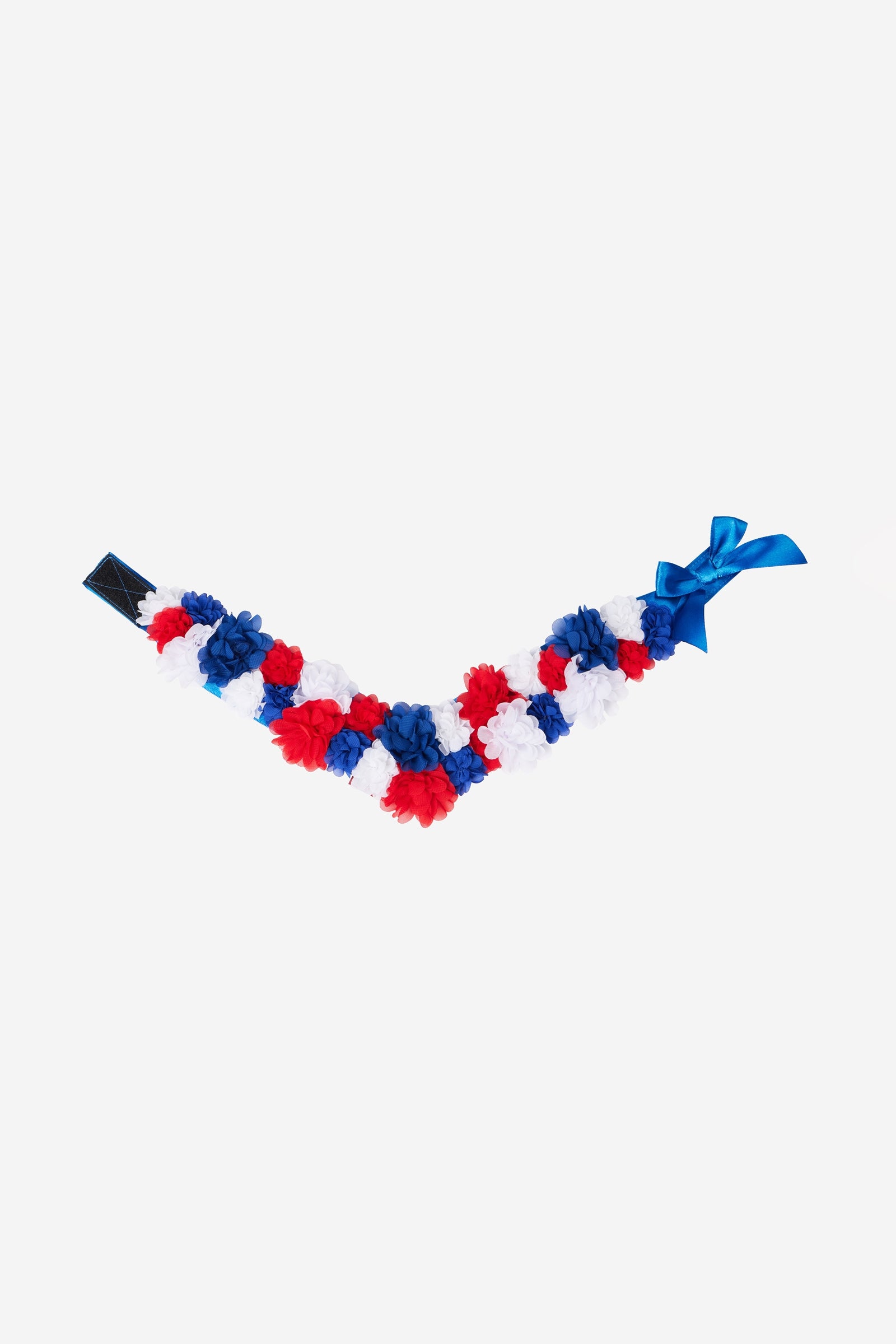 LeMieux Toy Pony kukkakuvioinen vyö Lahjatavarat