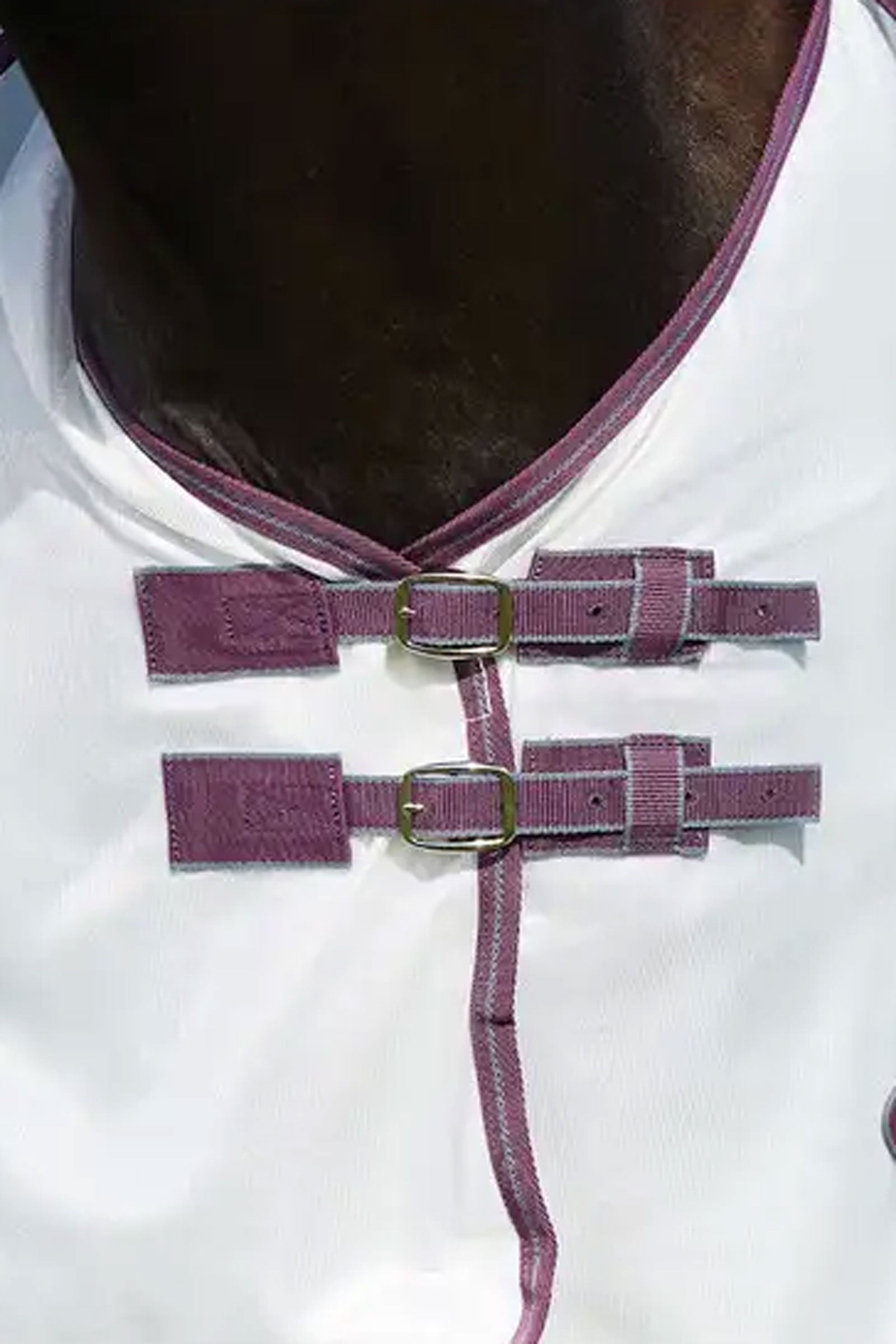 Weatherbeeta Comfitec Essential Mesh II Fly Rug with Fixed Neck Horse Rugs