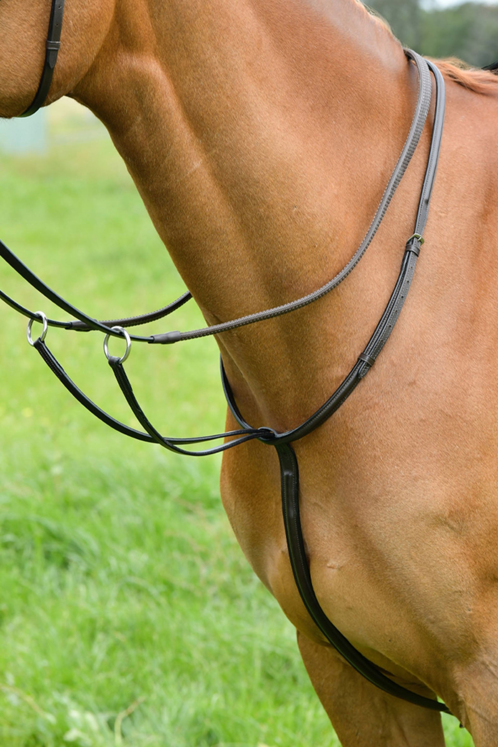 Kincade klassinen martingaali korotetulla ompeleella Suitset & Ohjat