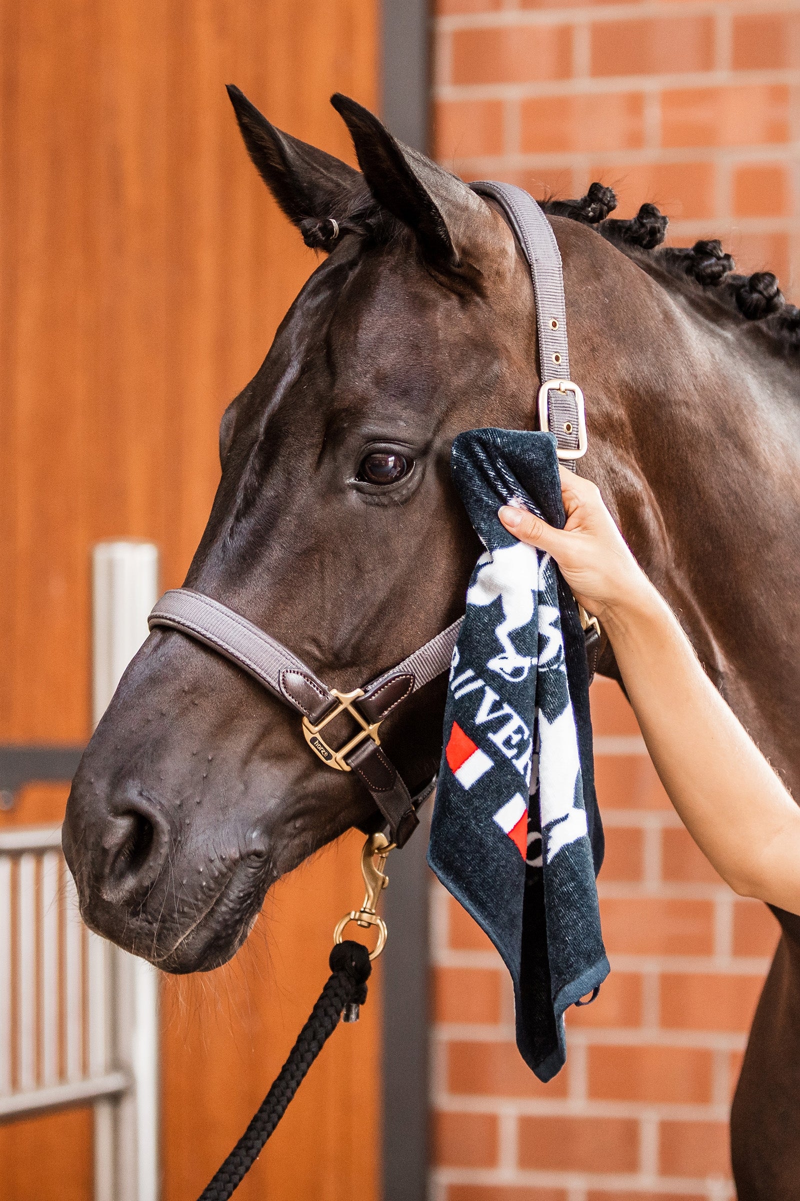 B Vertigo Hand Towel Gifts & Toys