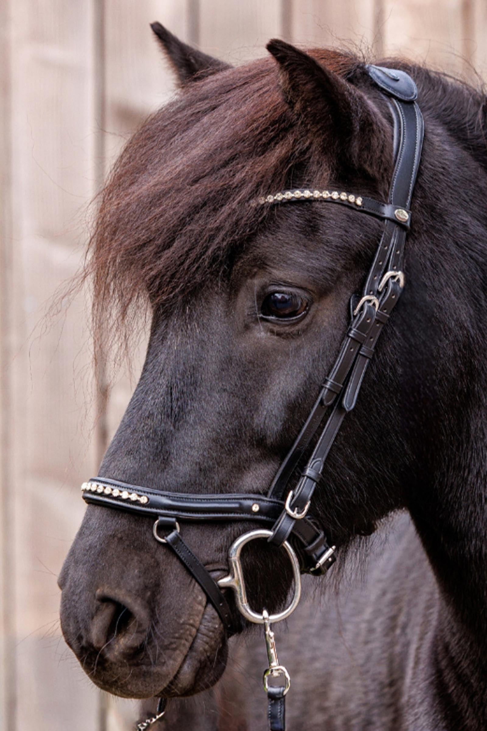 Kavalkade Jorunn Icelandic Bridle Bridles & Reins