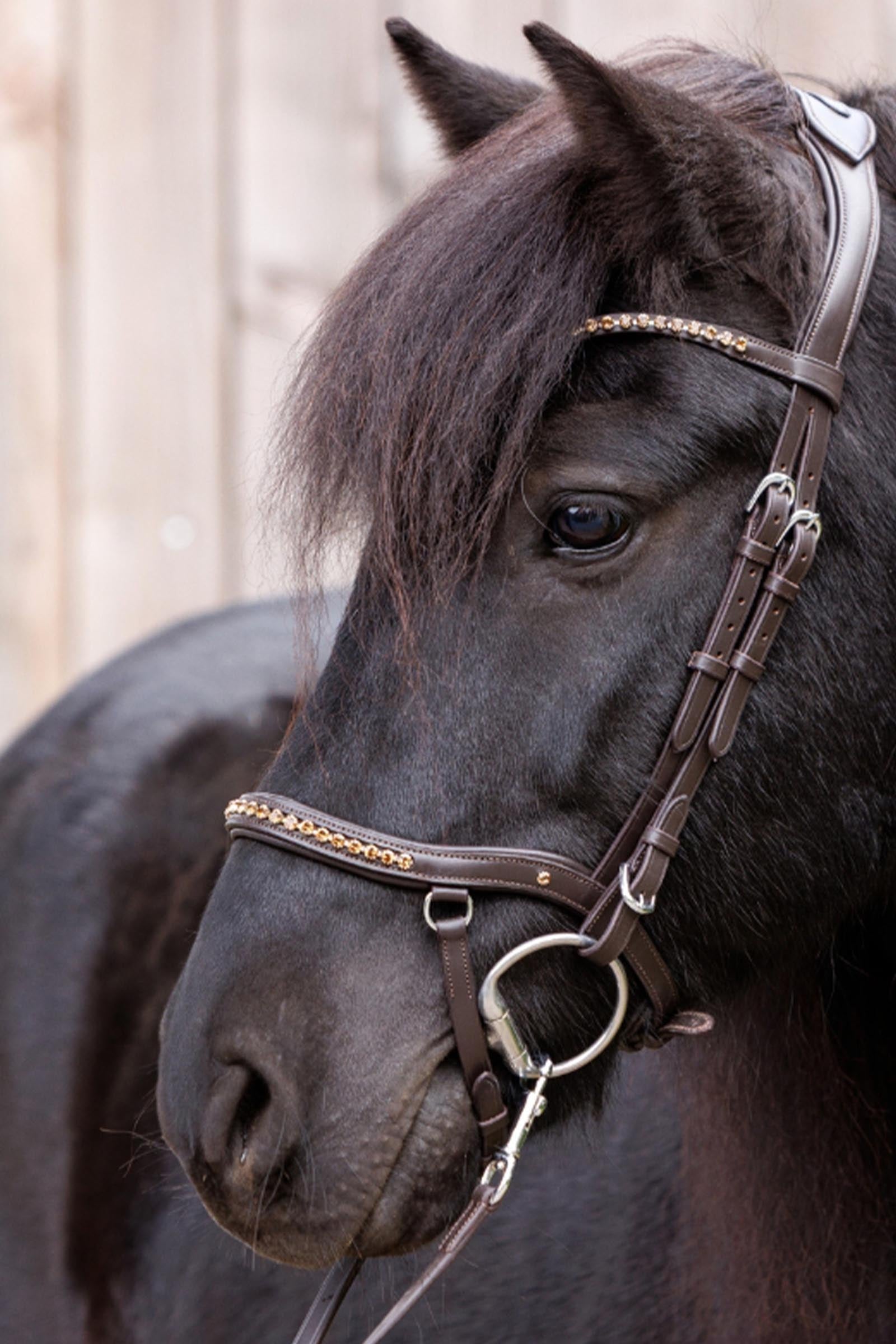 Kavalkade Jorunn Icelandic Bridle Bridles & Reins