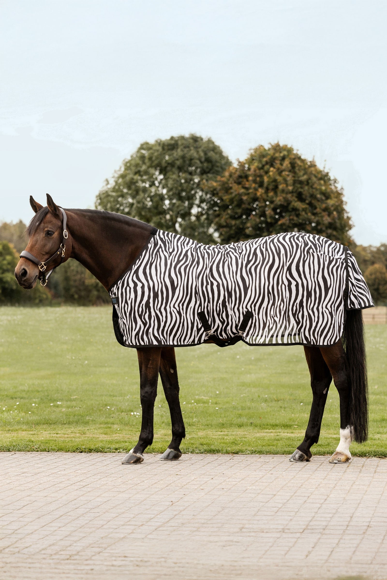 Waldhausen Zebra Fly Rug With Cross Surcingles Horse Rugs