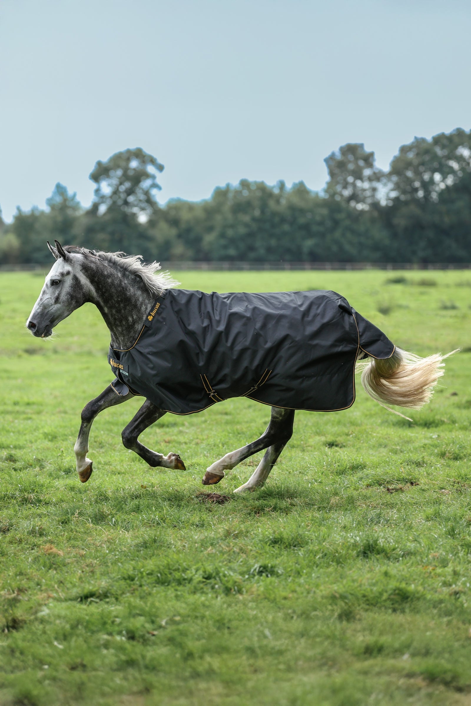 Bucas Irish ulkoloimi, 100 g Loimet