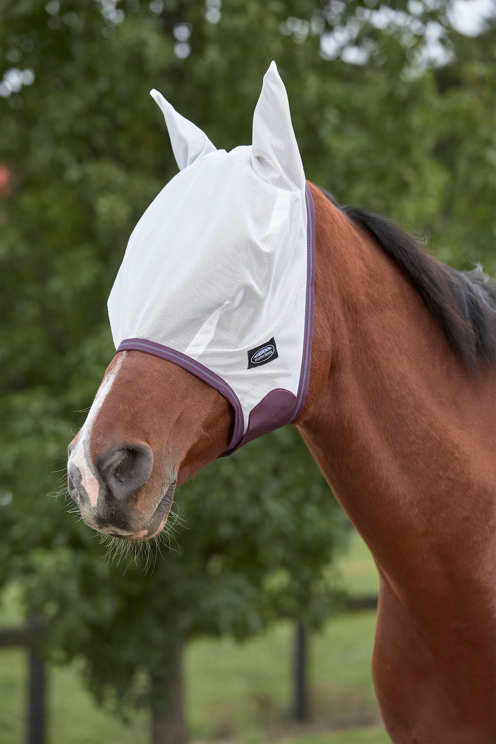 Weatherbeeta Comfitec Essential Mesh Mask Antifly Protection for Horses