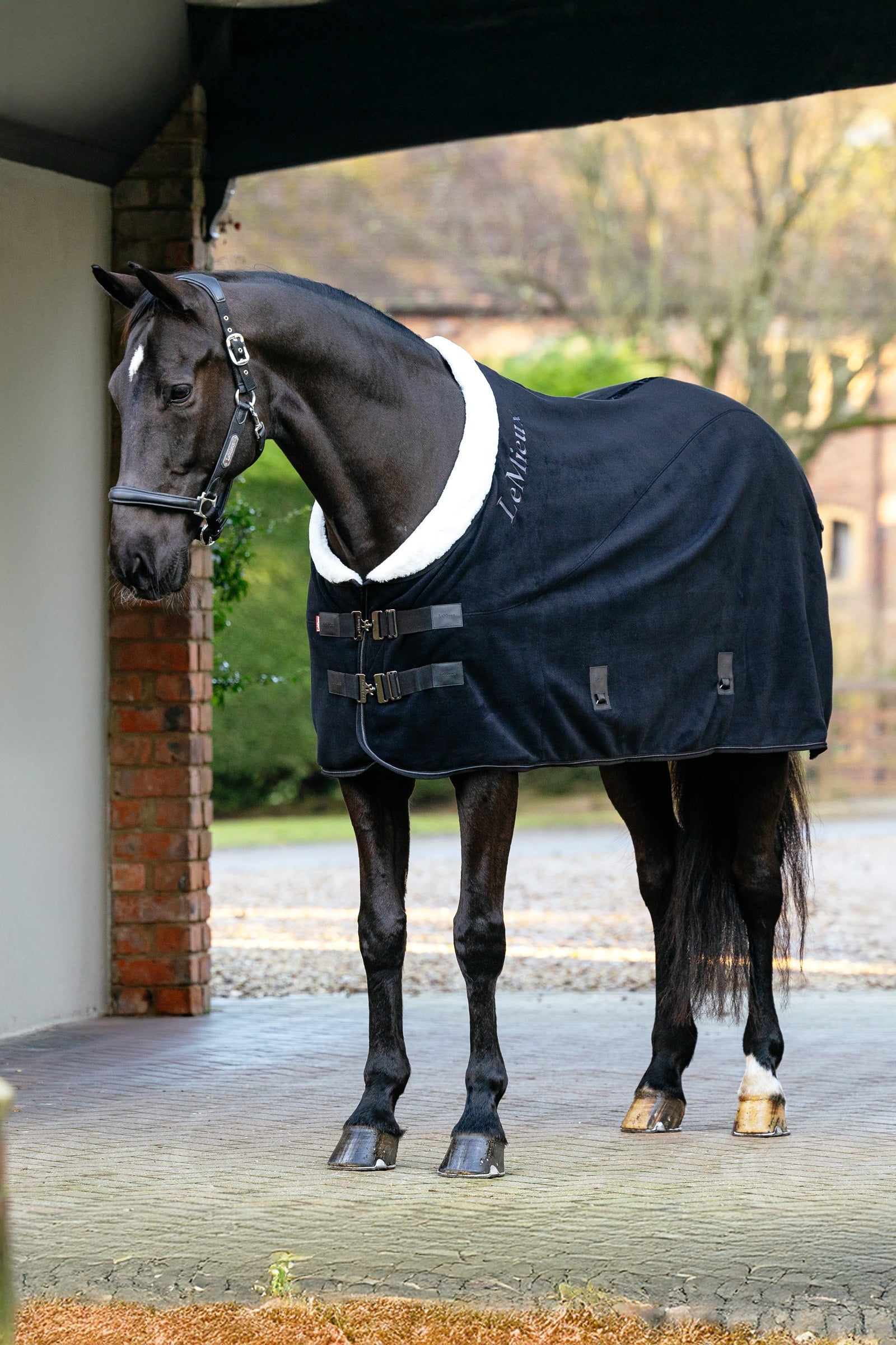 LeMieux Kudos Luxe Fleece-matto Loimet
