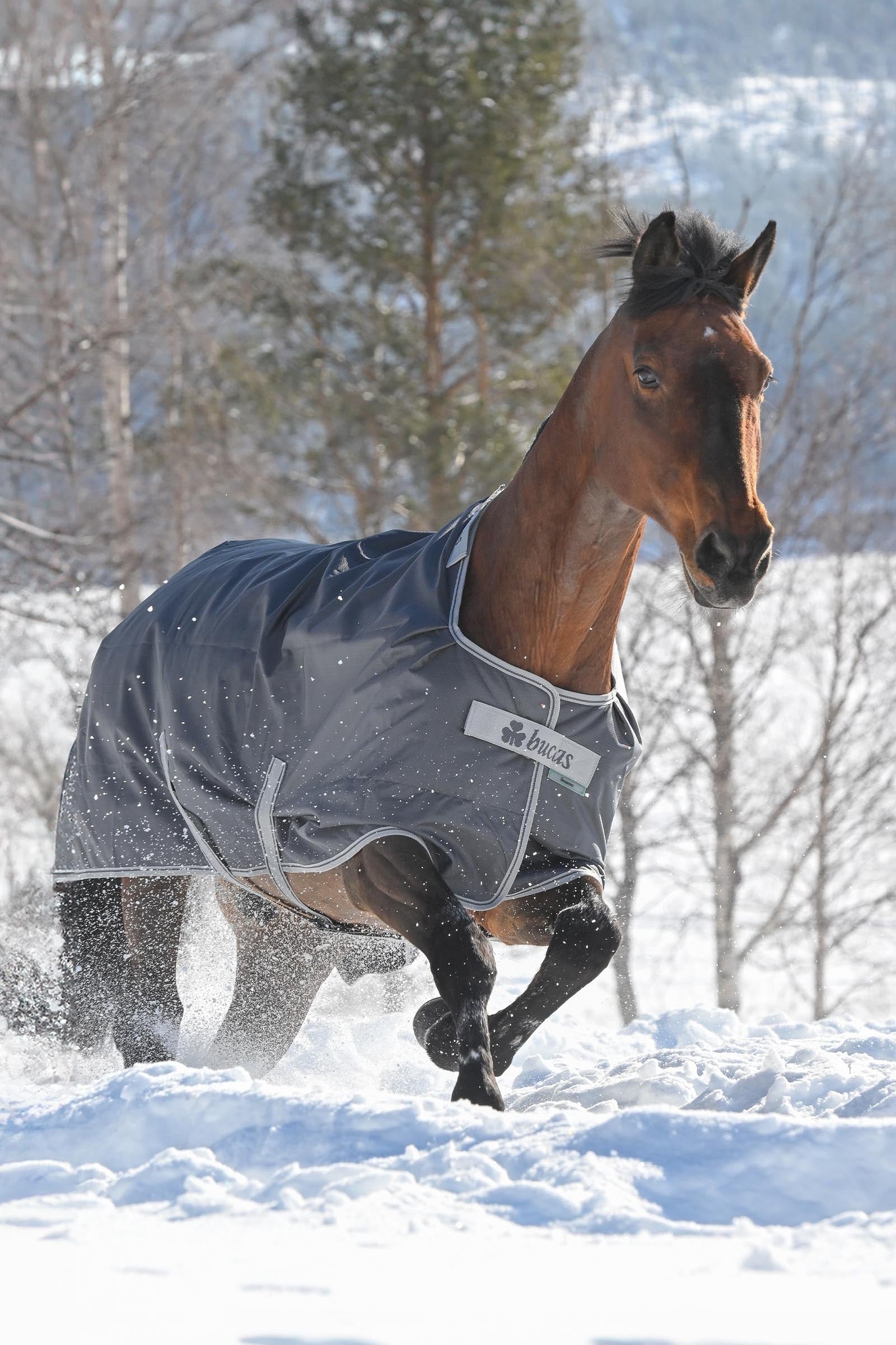 Bucas Smartex Extra Rug 300g Horse Rugs