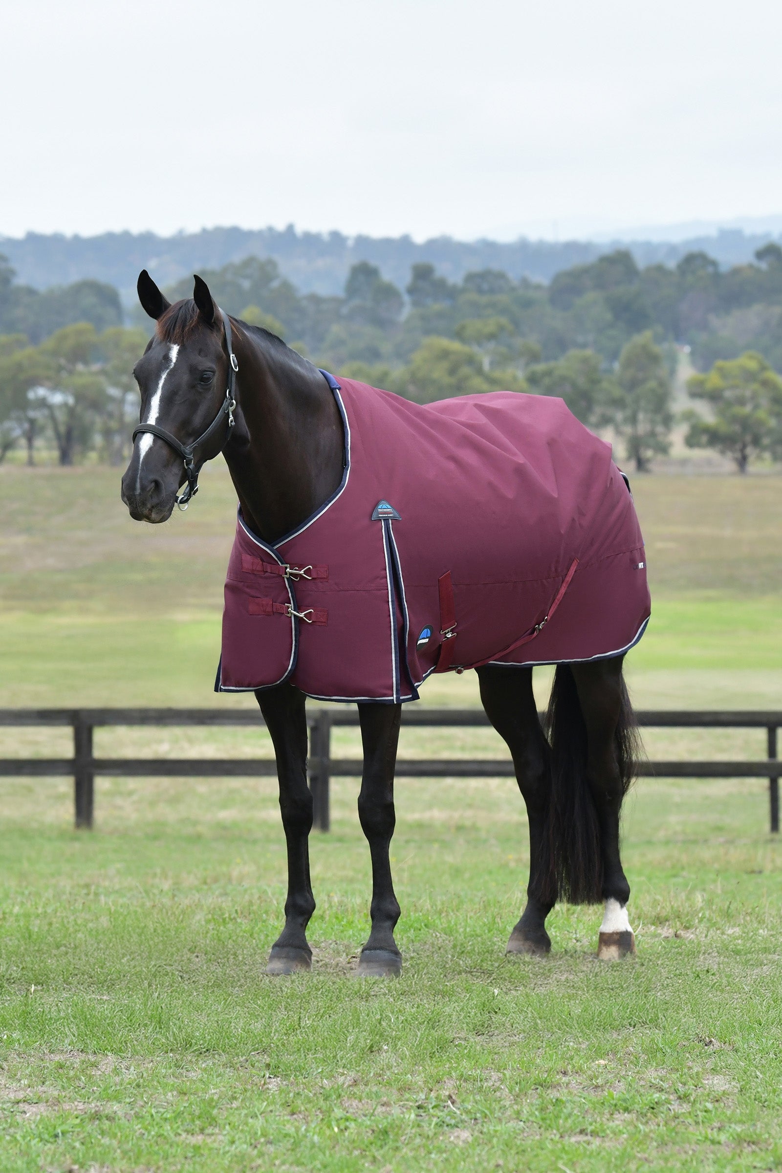 Weatherbeeta ComFiTec Essential Turnout Rug, 0 g Loimet