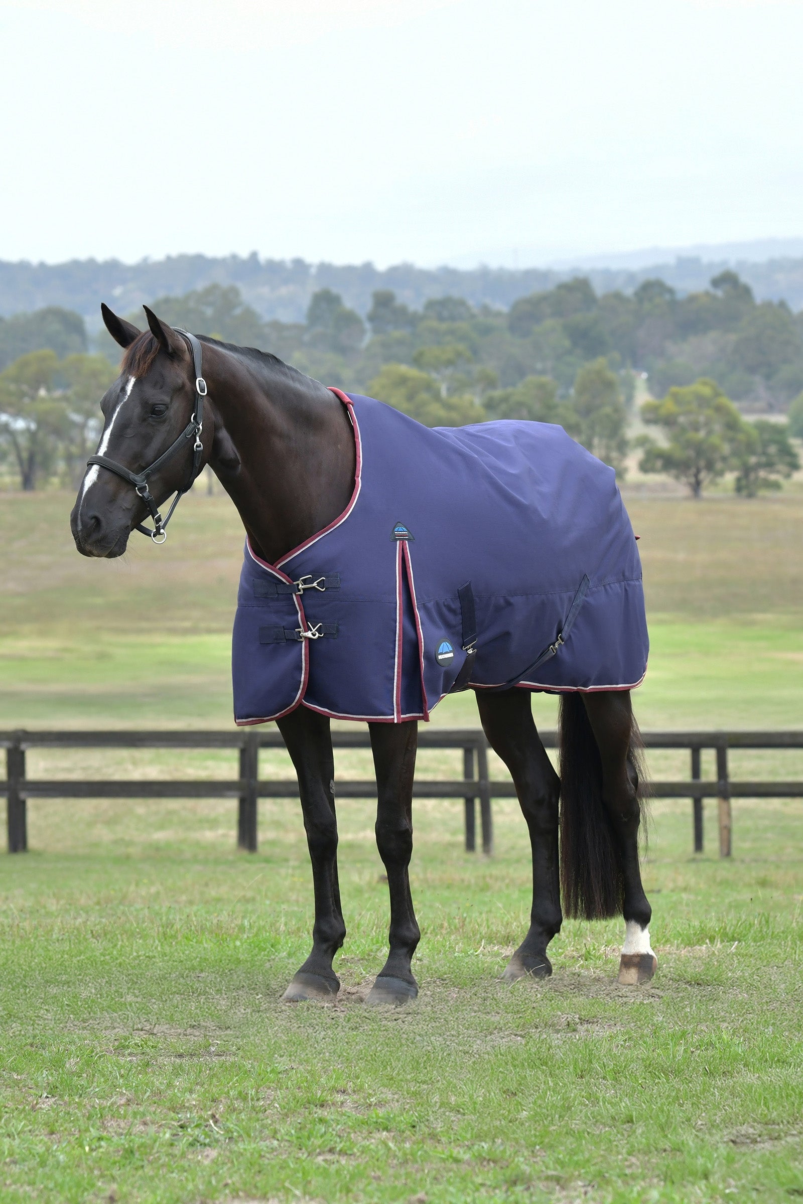 Weatherbeeta ComFiTec Essential Turnout Standard Neck 0G Loimet