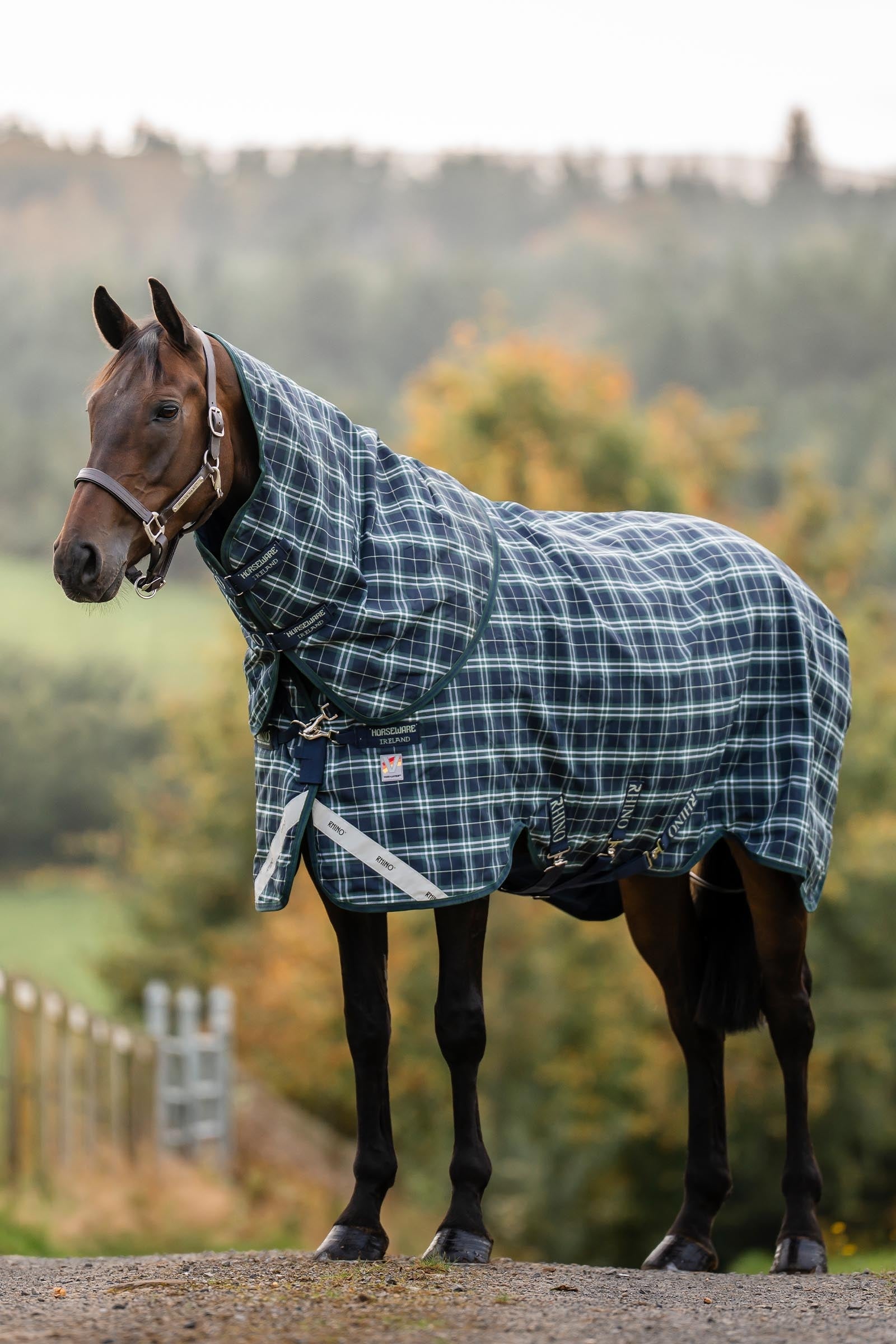 Horseware Rhino Plus Vari-Layer Turnout Rug With Detachable Neck, 250g Horse Rugs