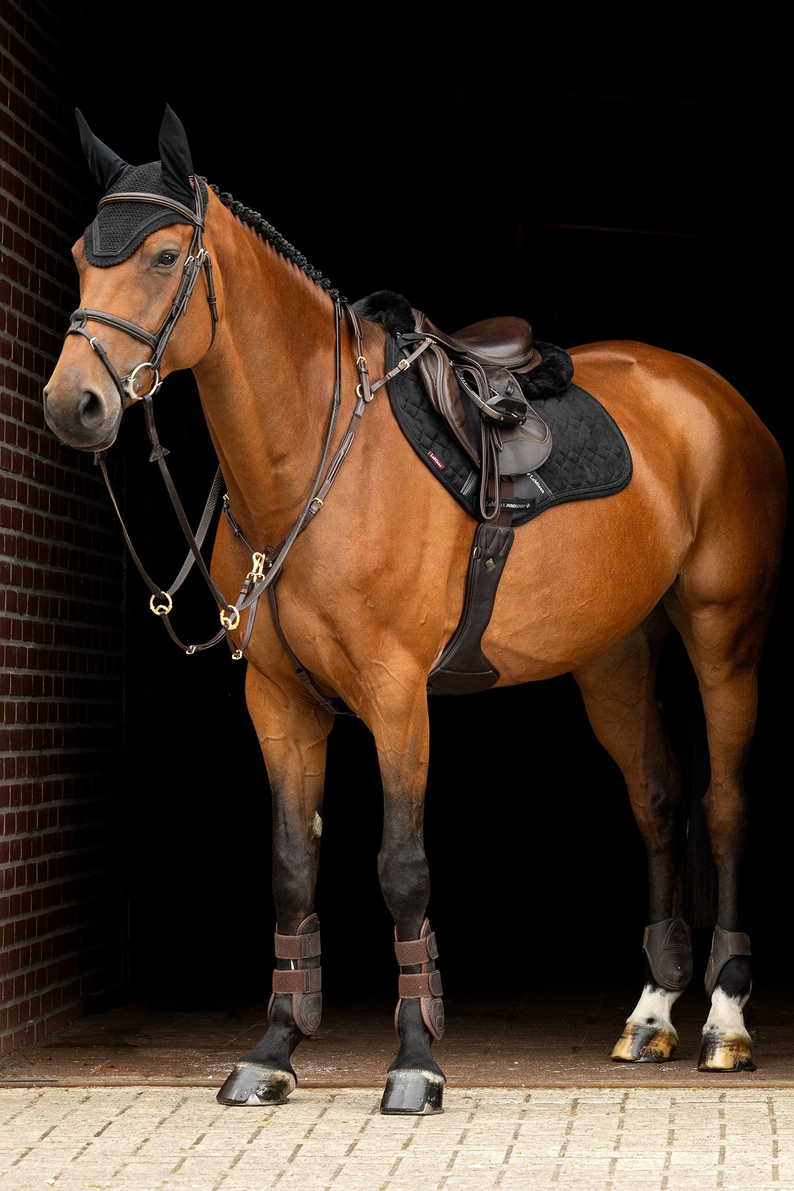 LeMieux Crystal Suede CC Pad Saddle Pads