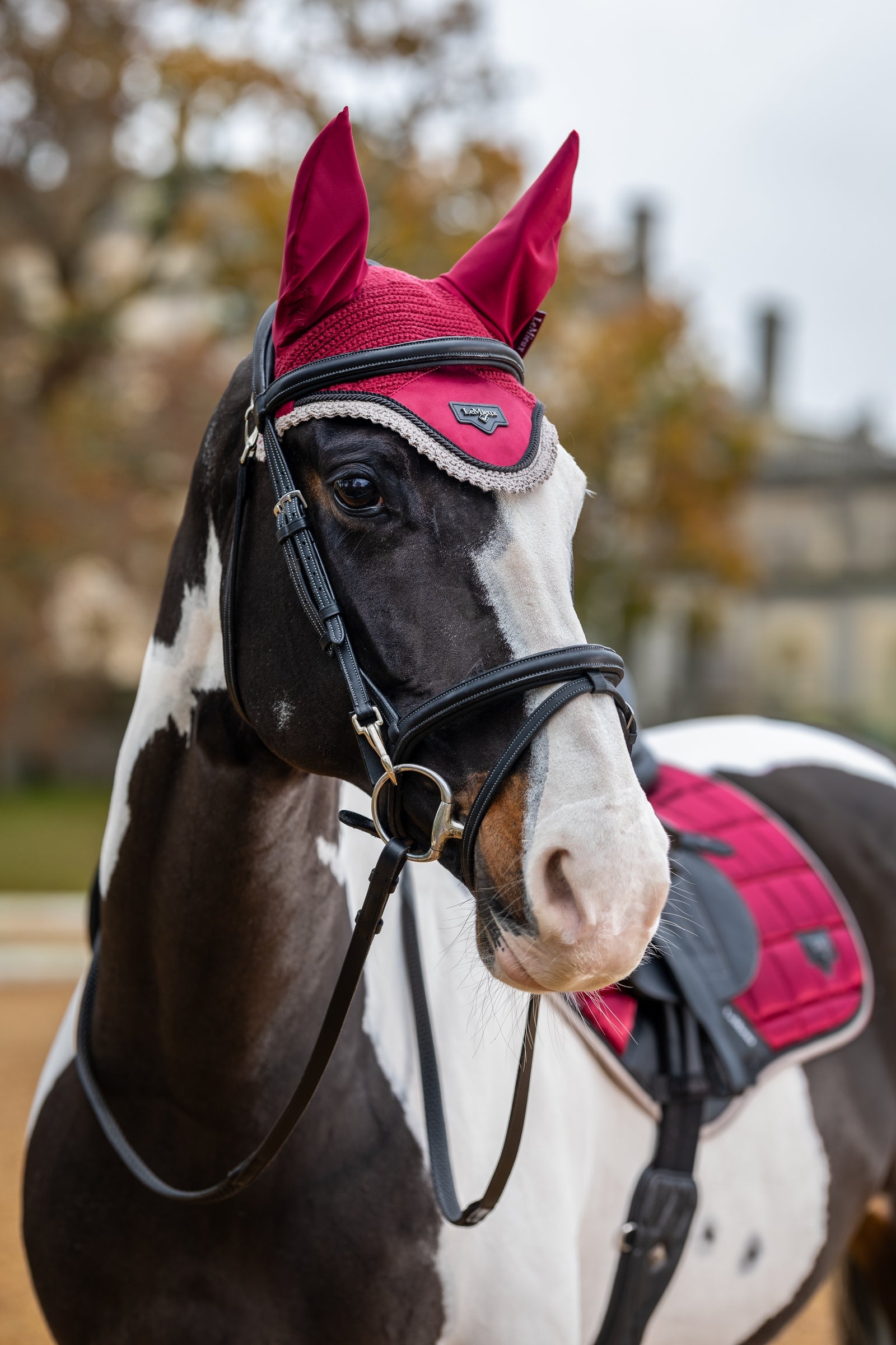LeMieux Loire Fly Hood Saddle Pads