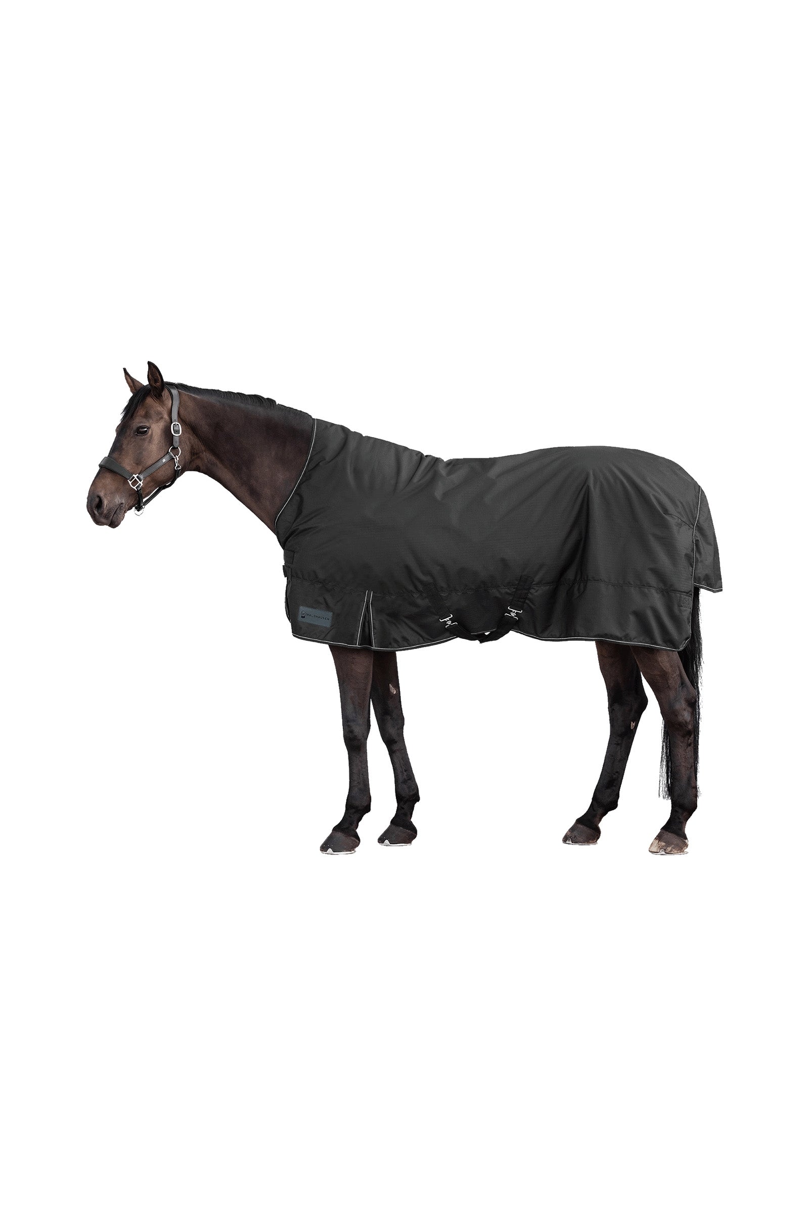 Waldhausen NORDIC Light High Neck Outdoor Rug Horse Rugs