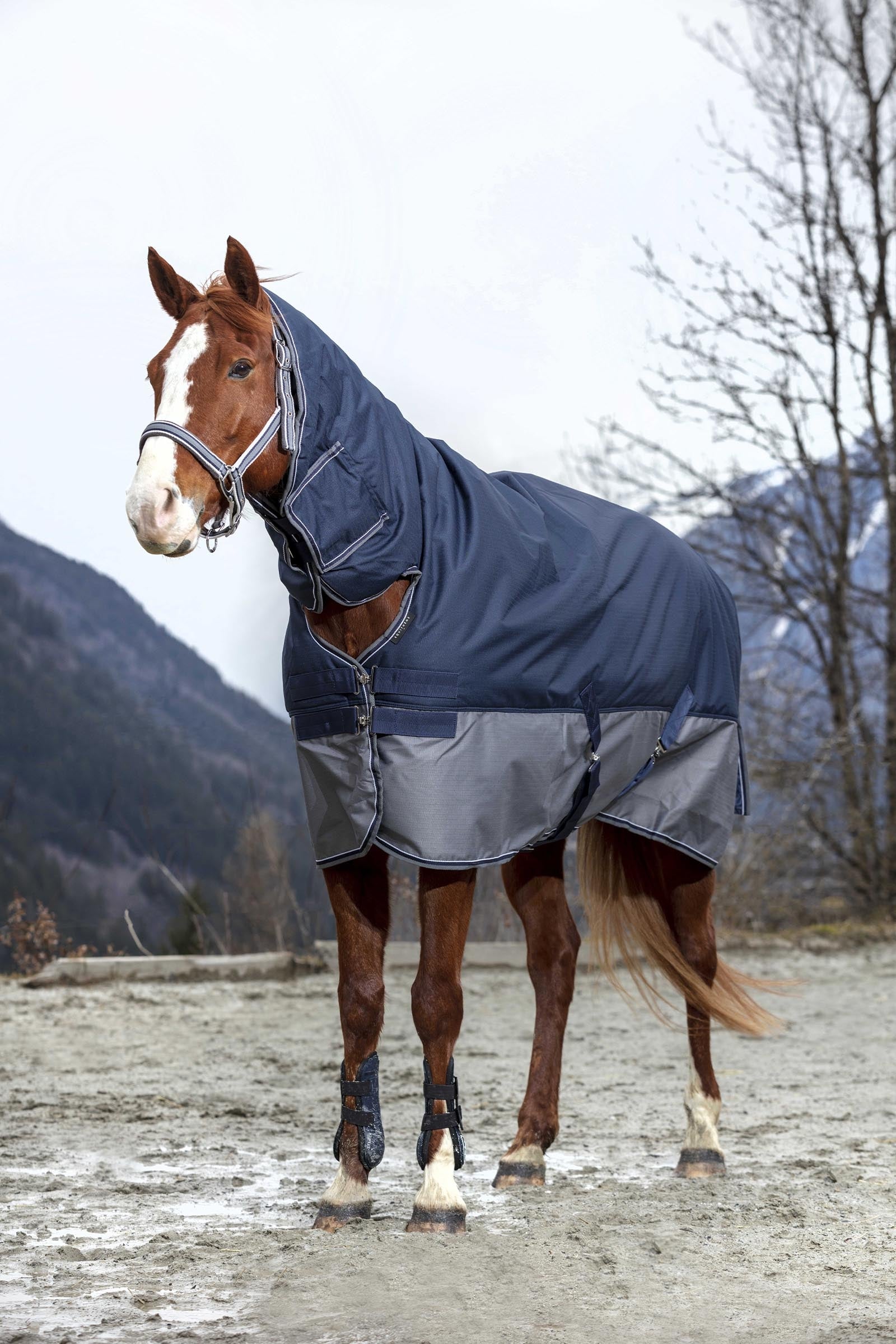 Equi Theme EQUITHÈME TYREX 600D Combo Rug, 350 g Horse Rugs