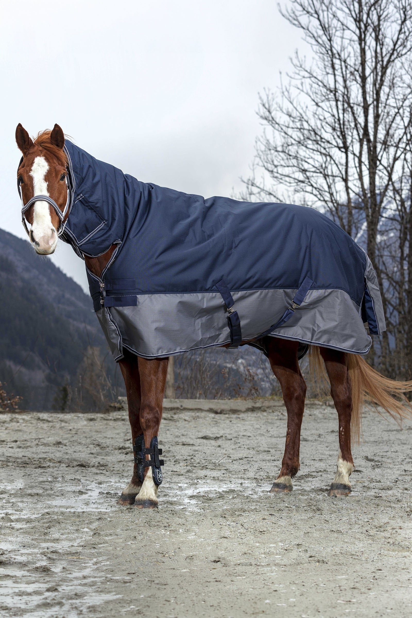 Equi Theme EQUITHÈME TYREX 600D Combo Rug, 350 g Horse Rugs
