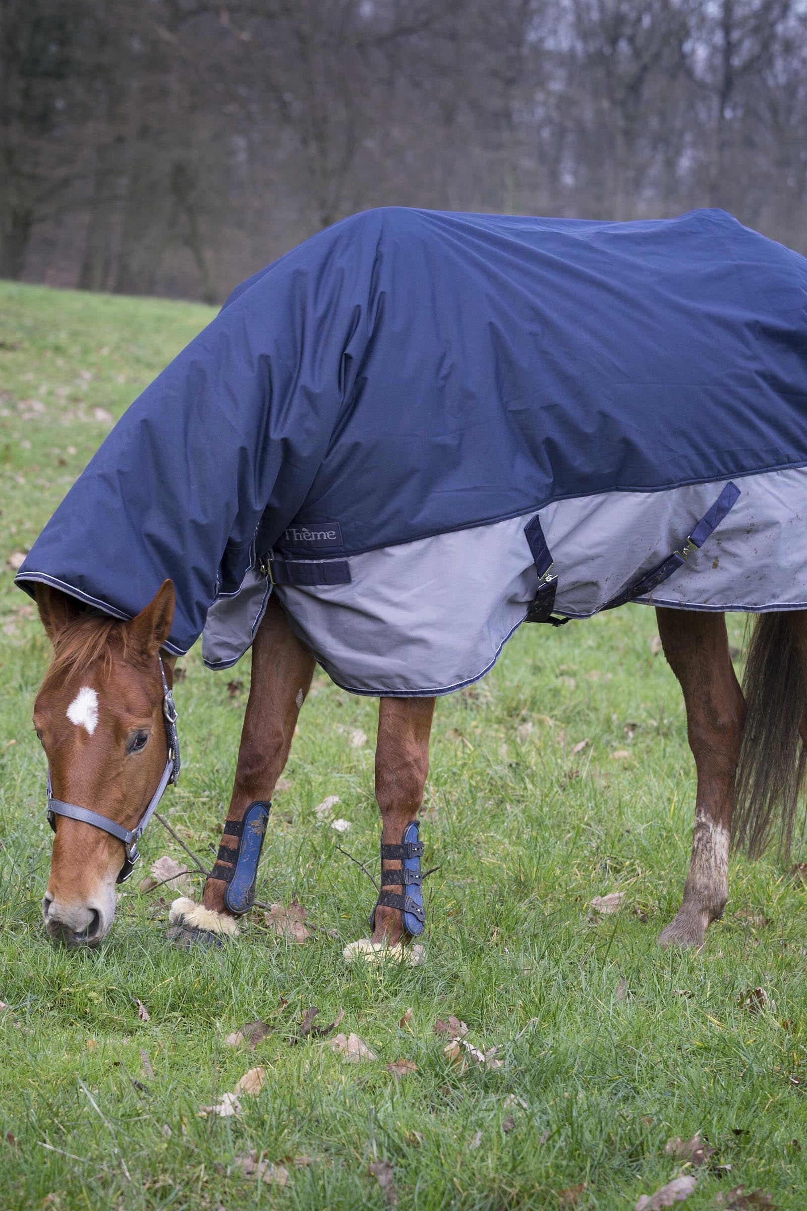 Equi Theme EQUITHÈME TYREX 600D Combo Rug, 350 g Horse Rugs