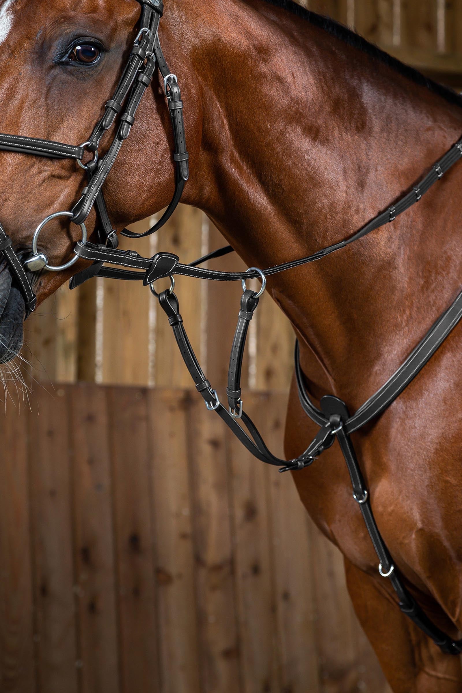 Dy'on Working martingaaliosa Suitset & Ohjat