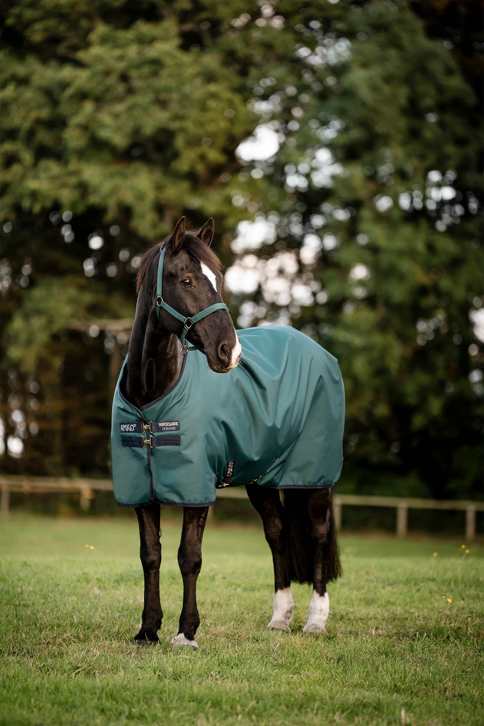 Horseware Amigo Ripstop 900D ulkoloimi, 200 g Loimet