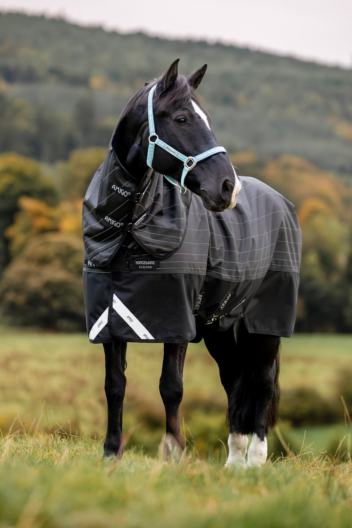 Horseware Amigo 1200D FieldSafe Reflectech Plus ulkoloimi irrotettavalla kaulaosalla, 0 g Loimet