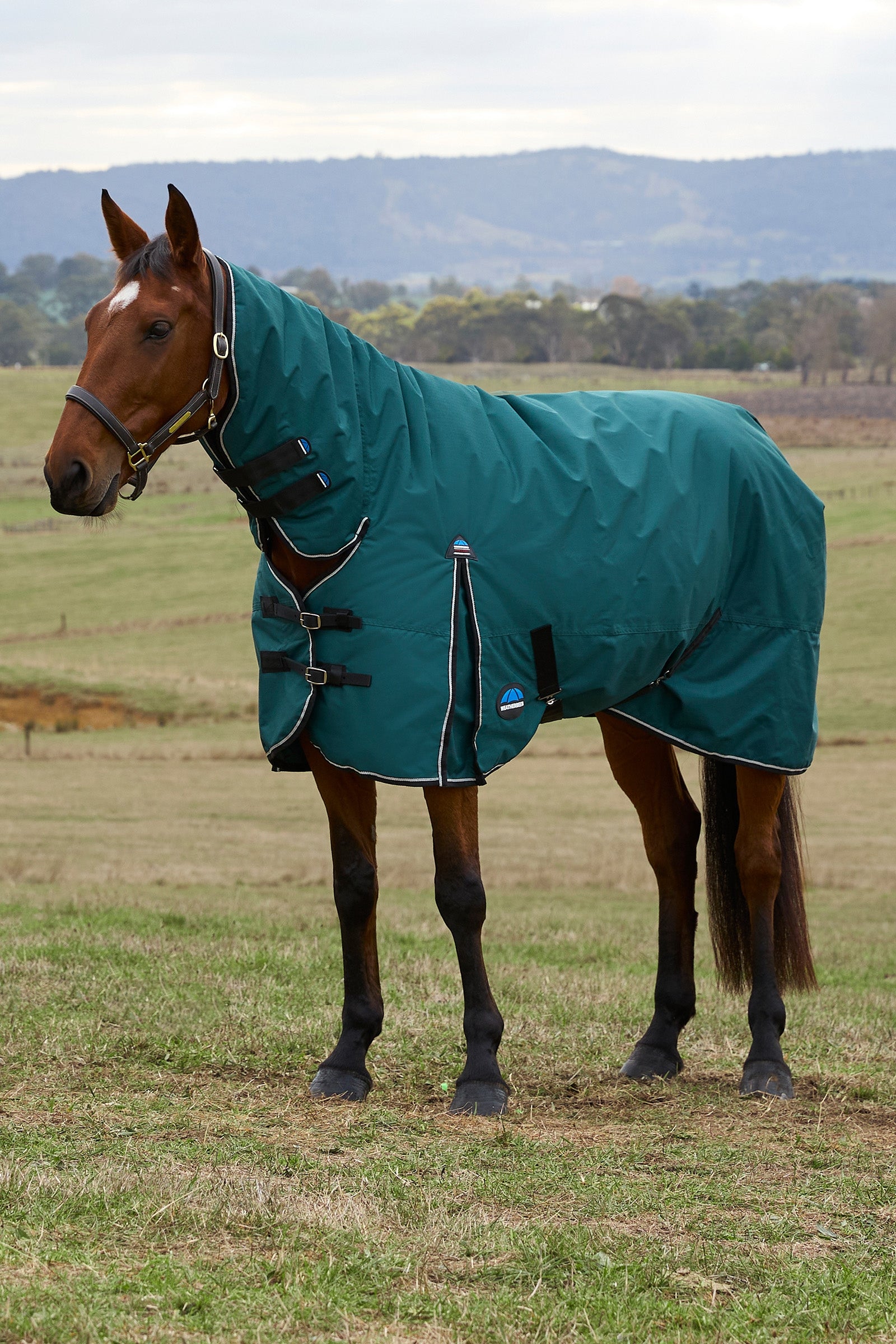 Weatherbeeta ComFiTec Classic Turnout Combo Neck 360G Loimet