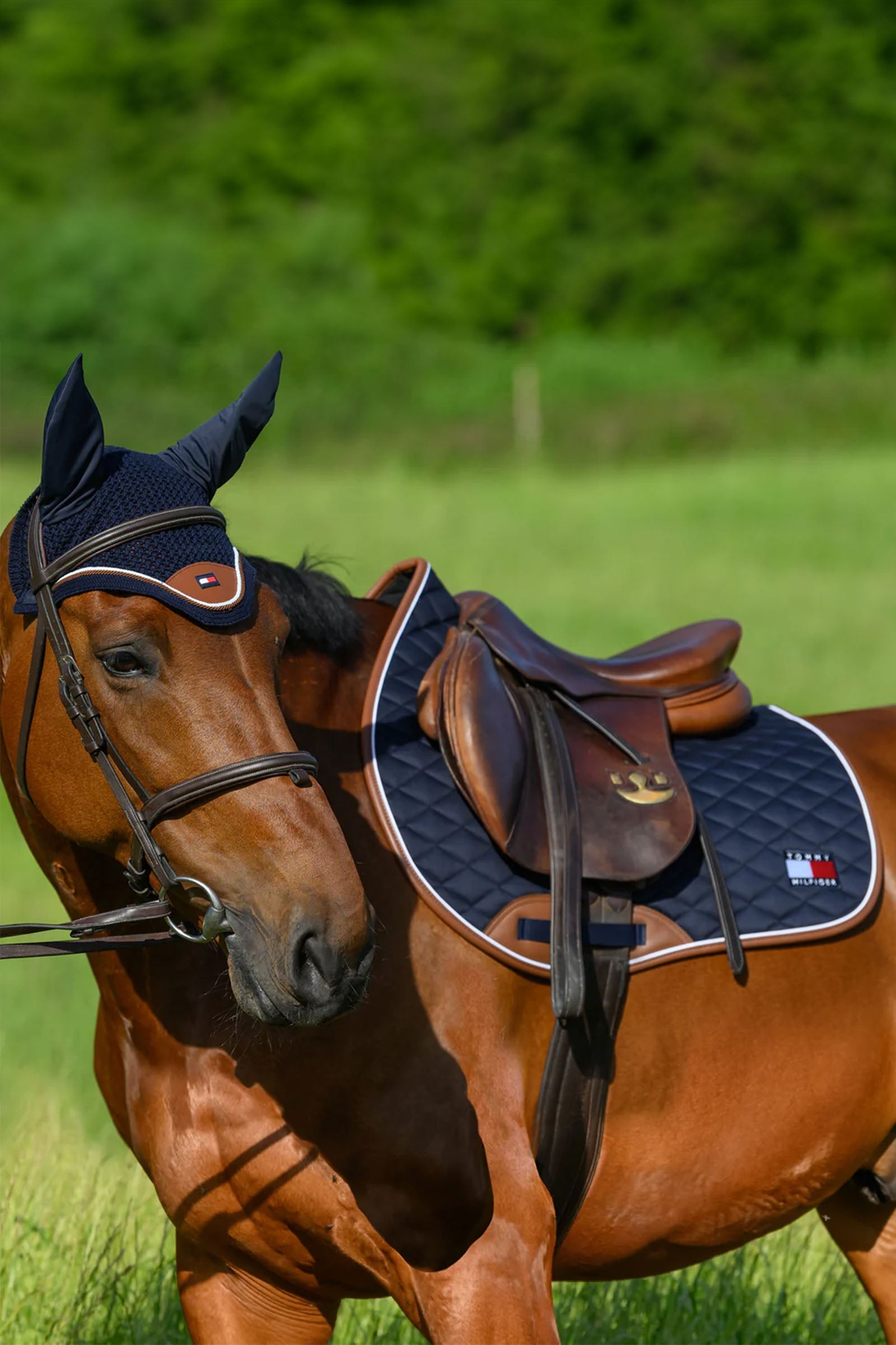 Tommy Hilfiger Equestrian Princeton Jumping Saddlepad Saddle Pads