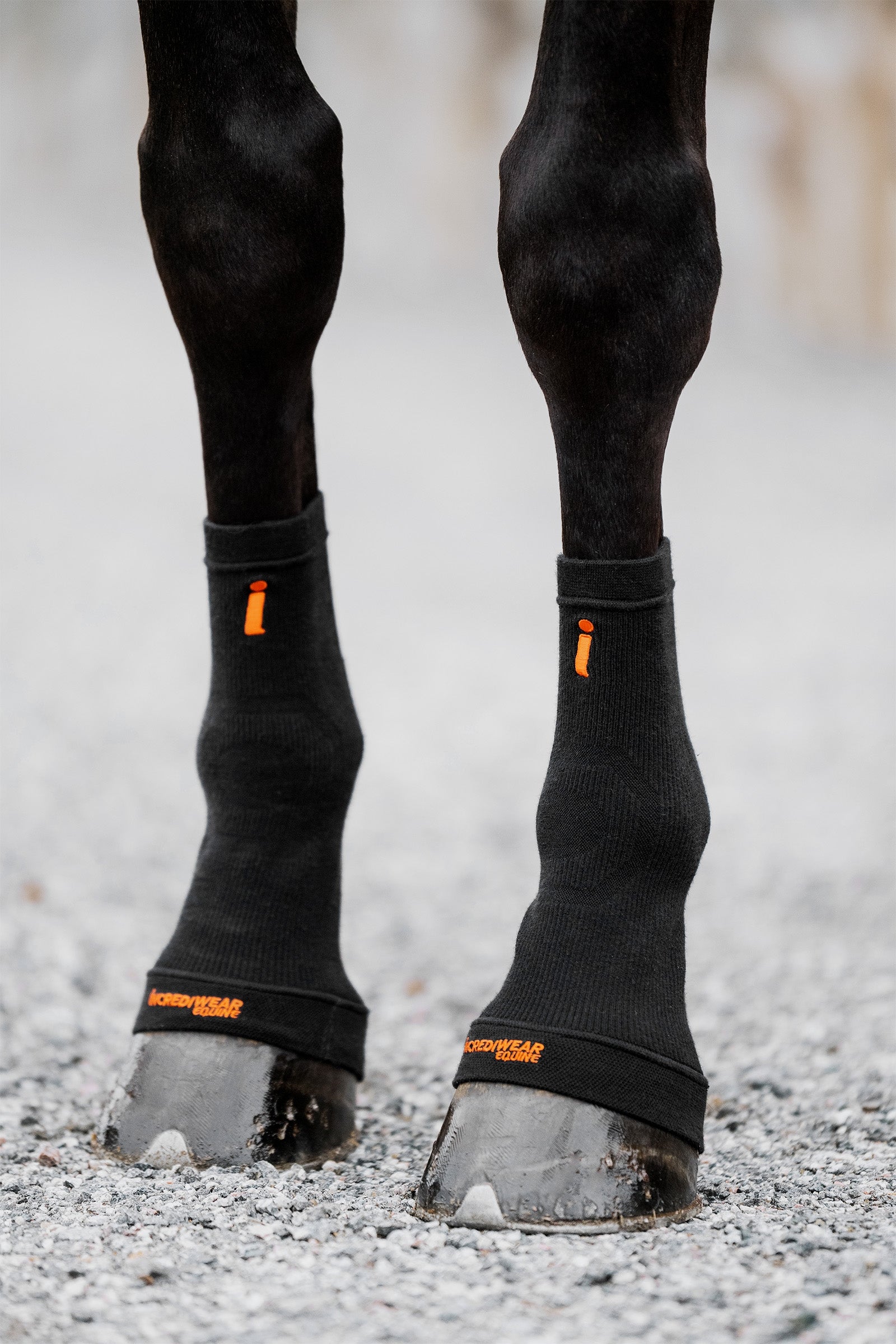 Incrediwear Circulation kaviosukat Leg Protection & Hoof Protection for Horses