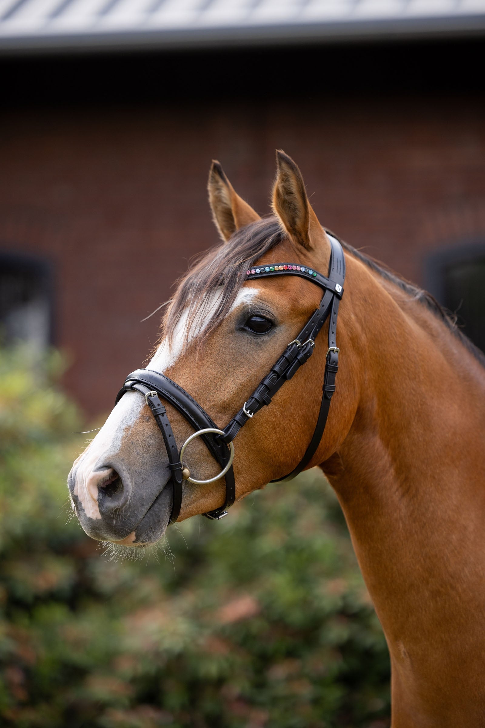 Horze Rainbow Dash Pony Bridle Pony & Shetland Tac