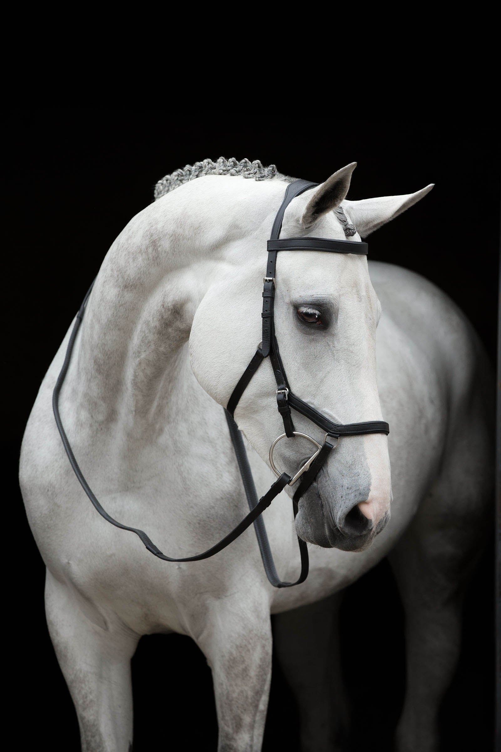 Horseware Rambo Micklem Competition Bridle Bridles & Reins