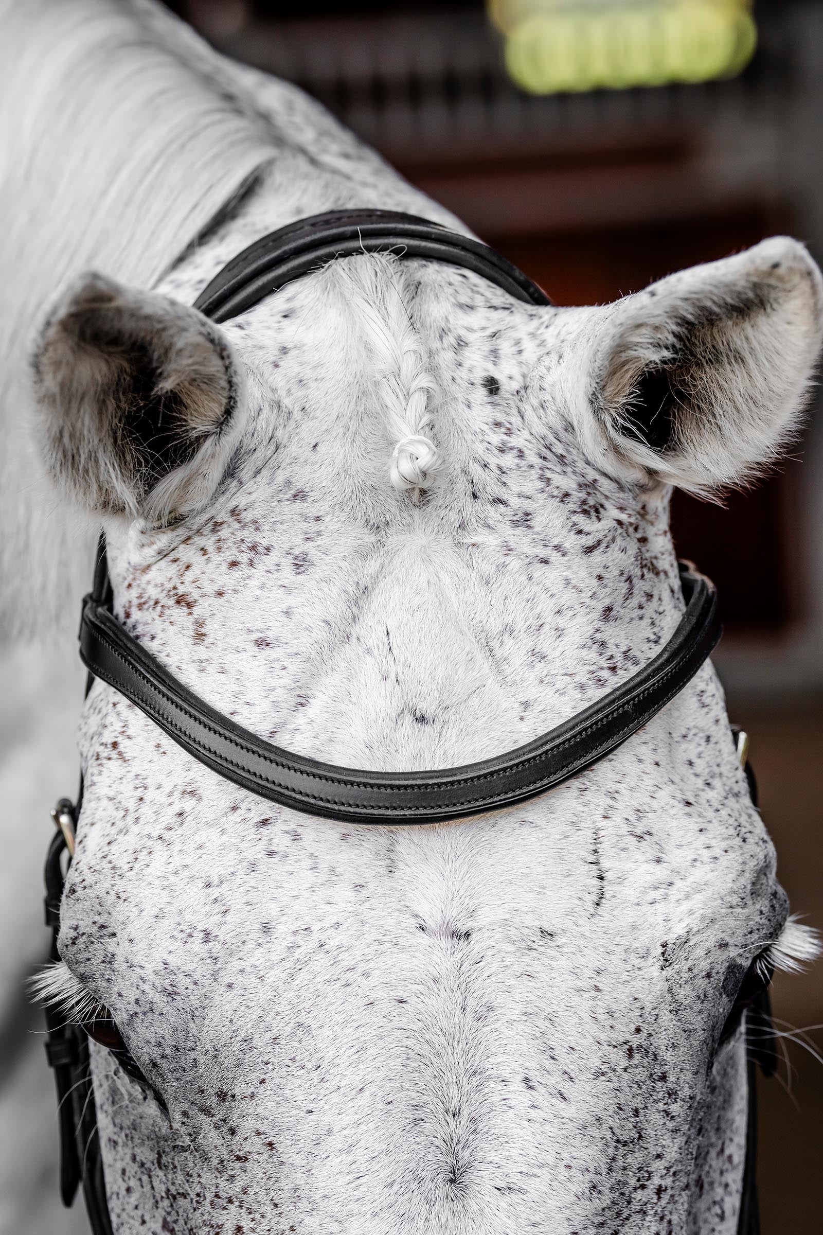 Horseware Rambo Micklem Competition Bridle Bridles & Reins
