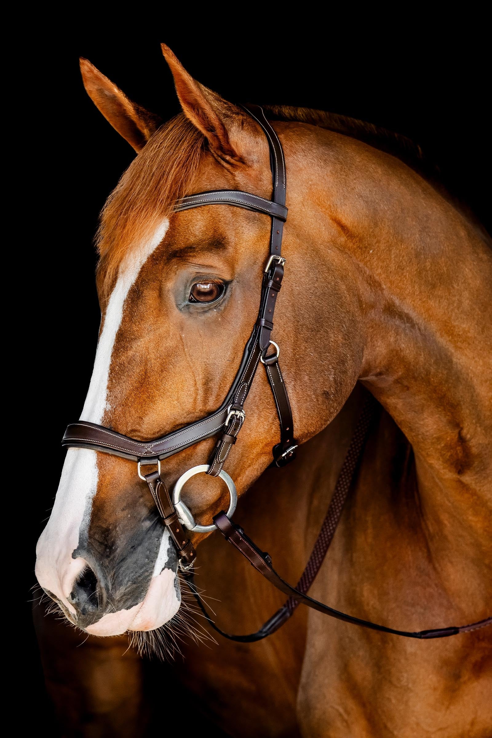 Horseware Rambo Micklem Competition Bridle Bridles & Reins