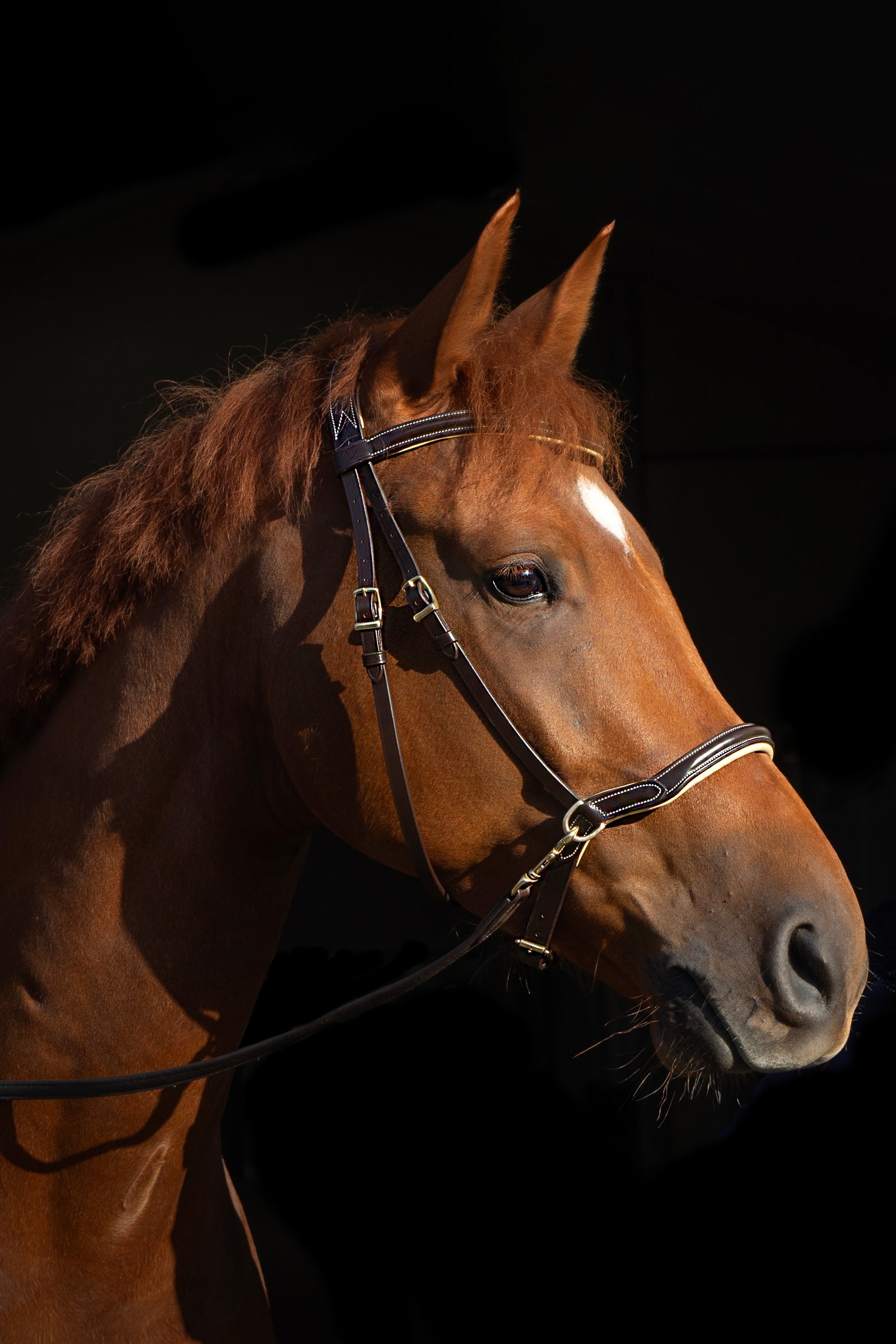F.R.A. Freedom Riding Articles Sidepull Kiona With Reins (System 3) Bridles & Reins