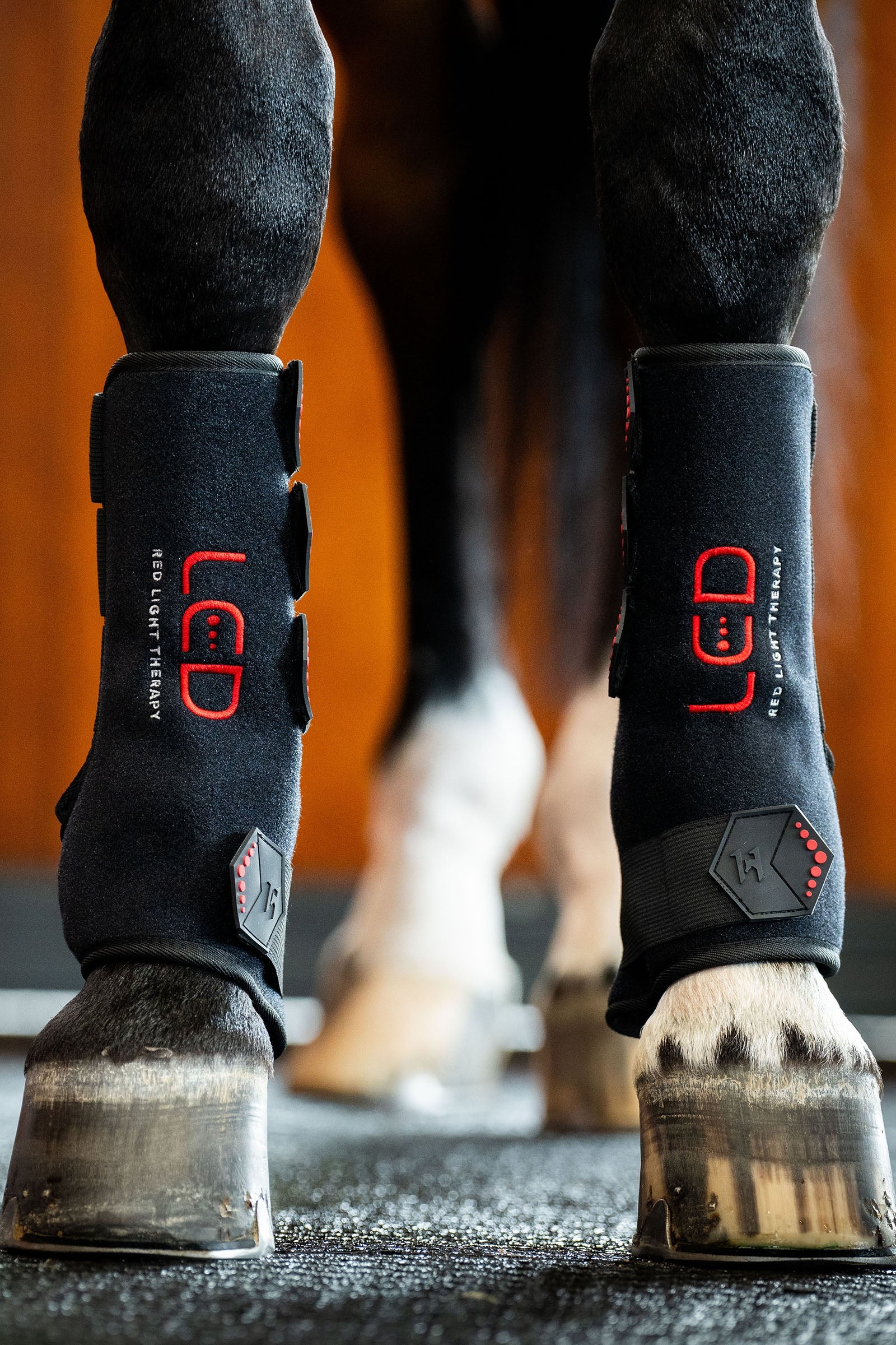 Horseware LED punavalohoitoinen hevosbootsi (1 kpl) Leg Protection & Hoof Protection for Horses