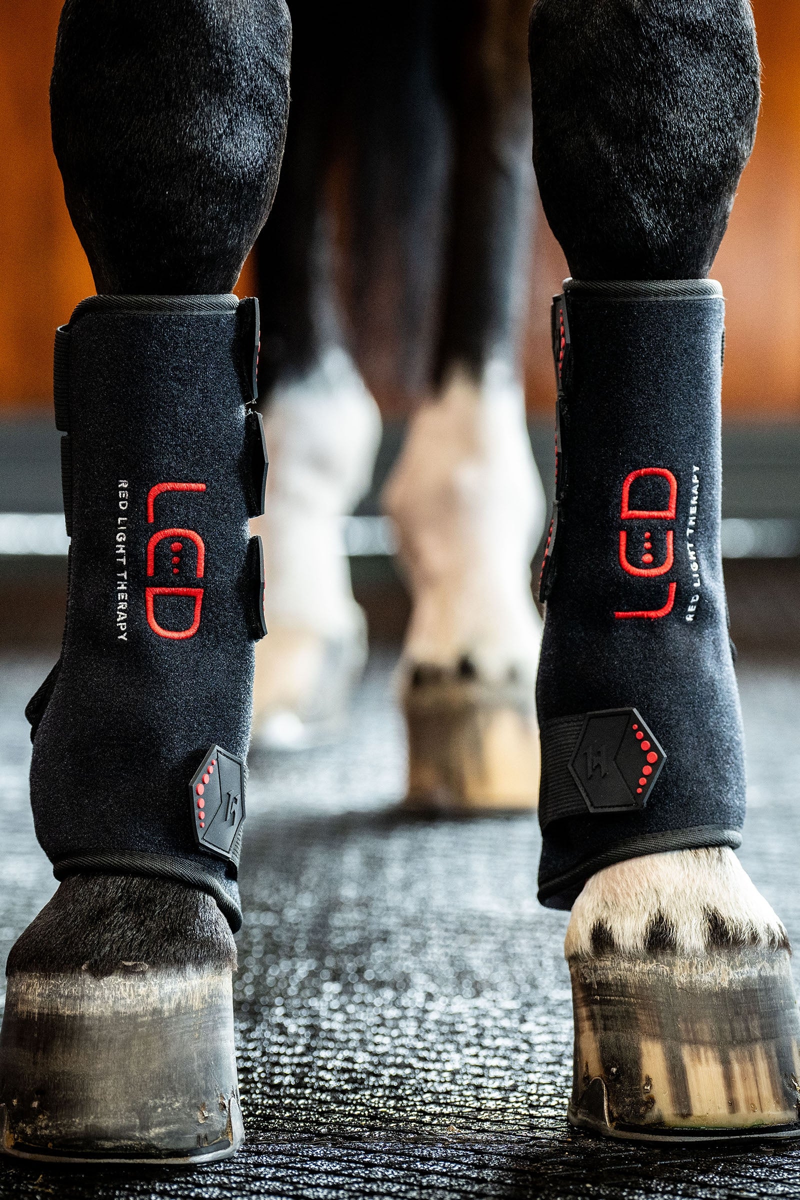 Horseware LED Red Light Therapy Leg Wrap (1 pc.) Leg Protection & Hoof Protection for Horses