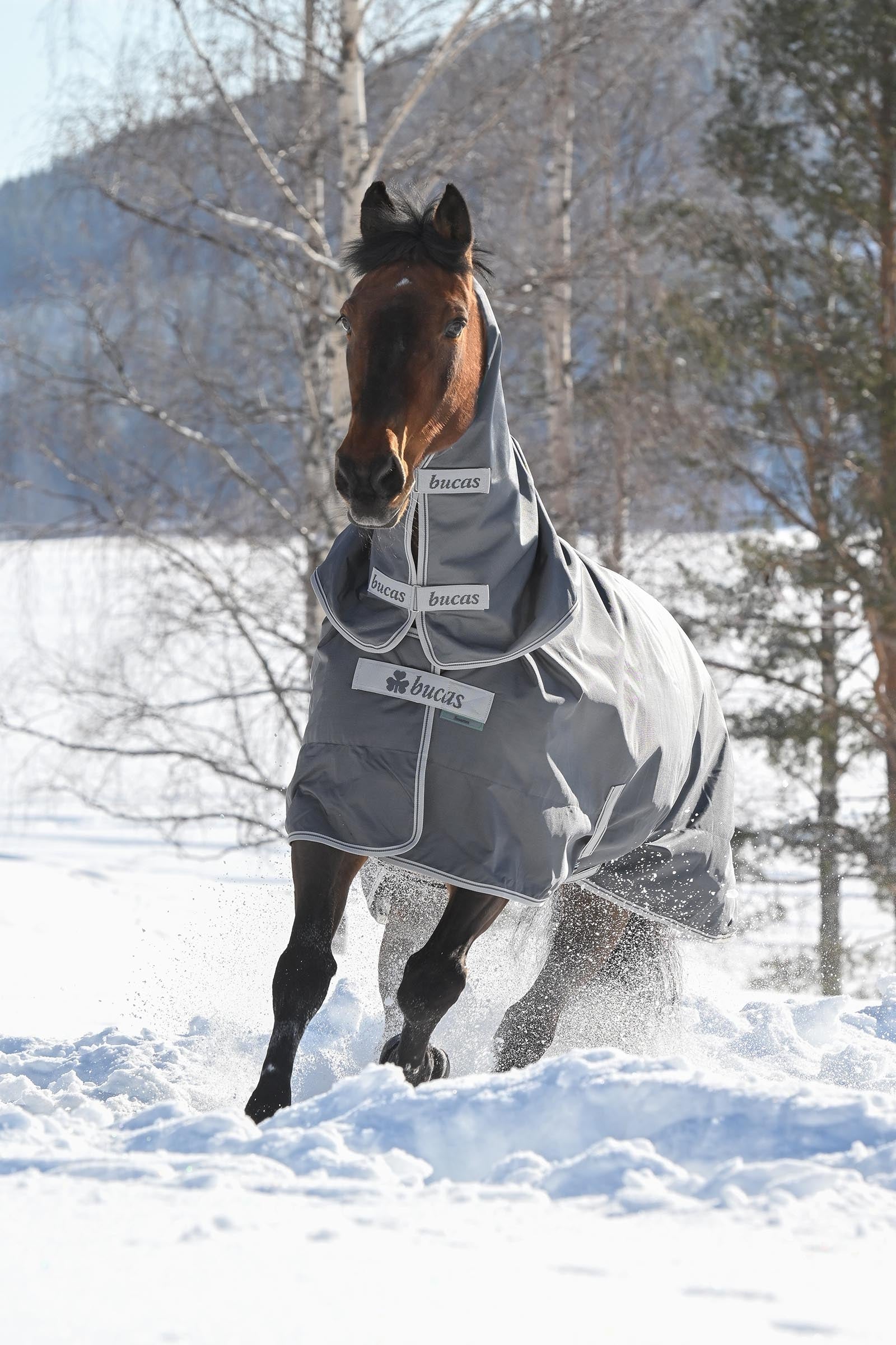 Bucas Smartex Combi Neck 300 Horse Rugs