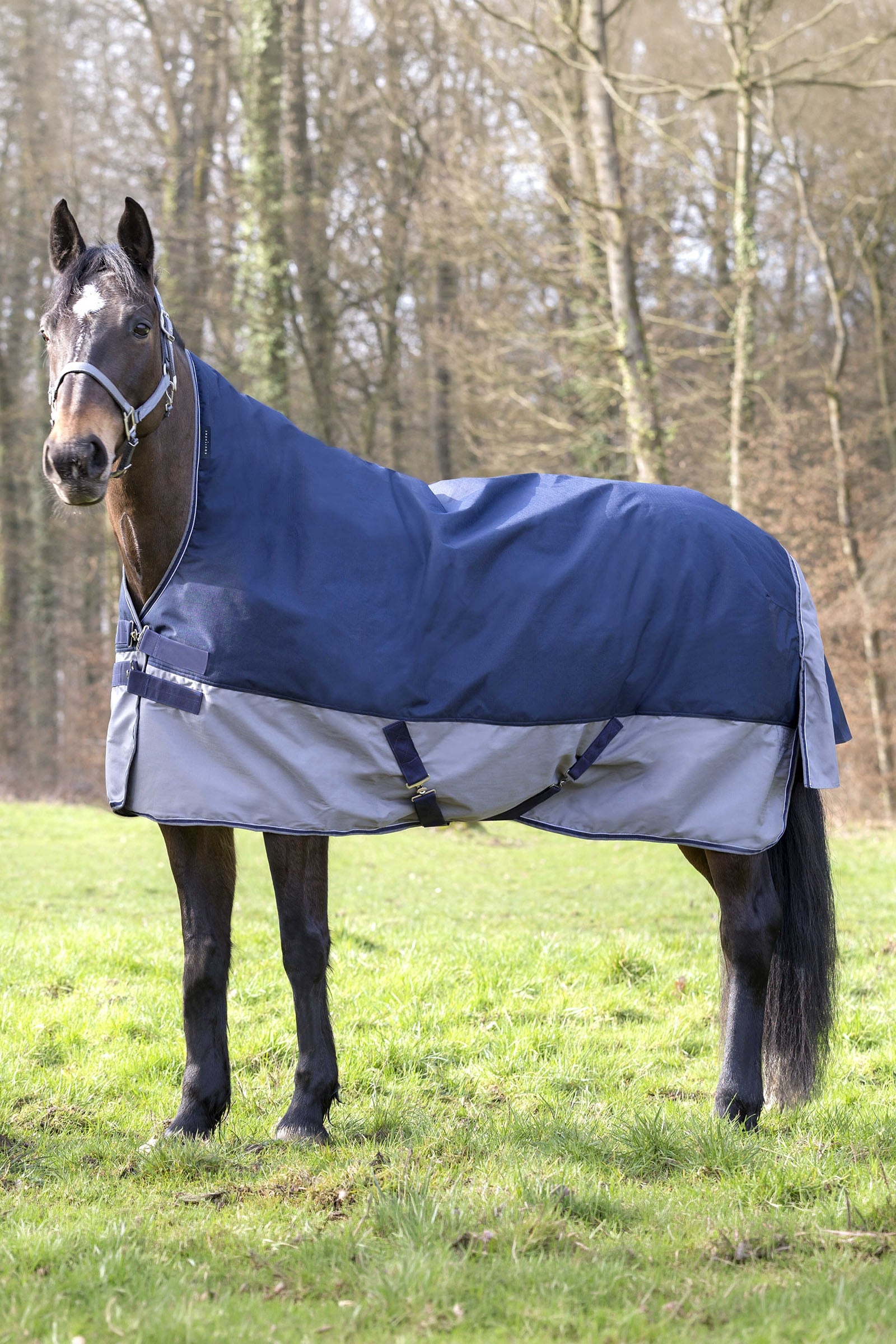 Equi Theme EQUITHÈME TYREX 600D High Neck Rug, 150 g Horse Rugs