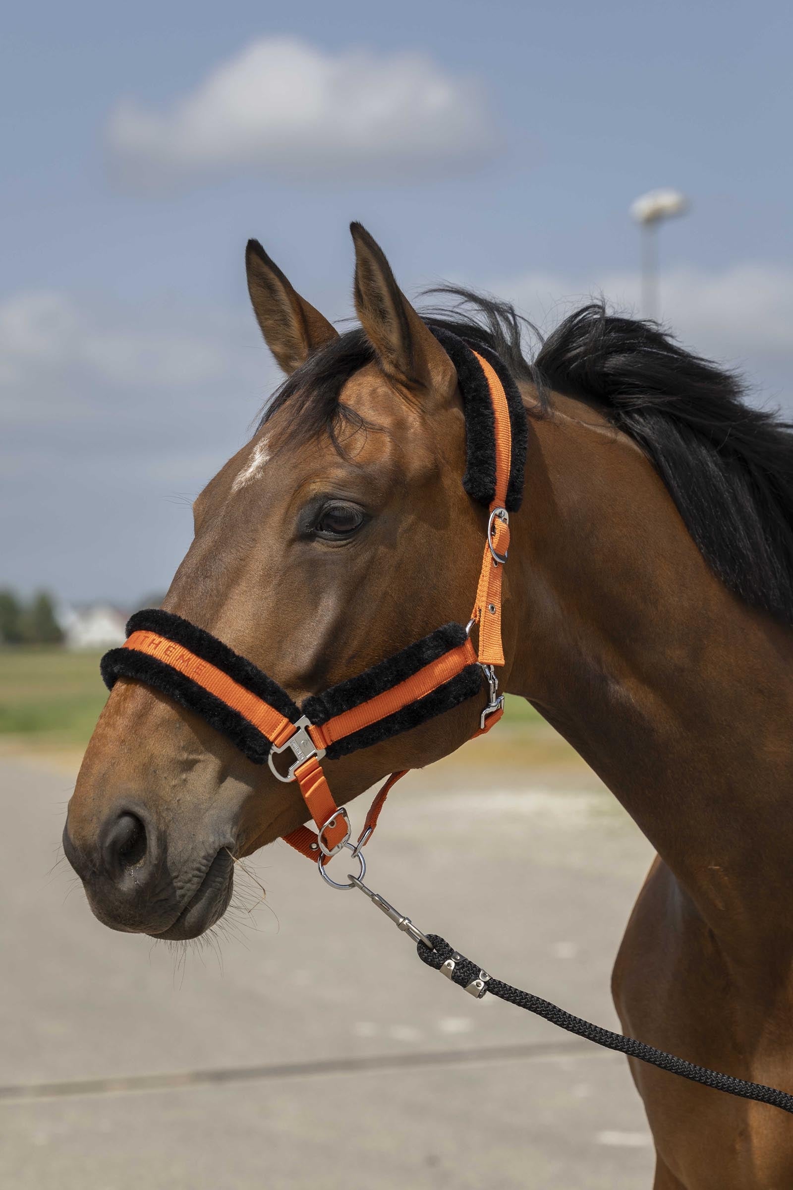 EQUITHÈME Nylon Mouton riimu Riimut & riimunnarut